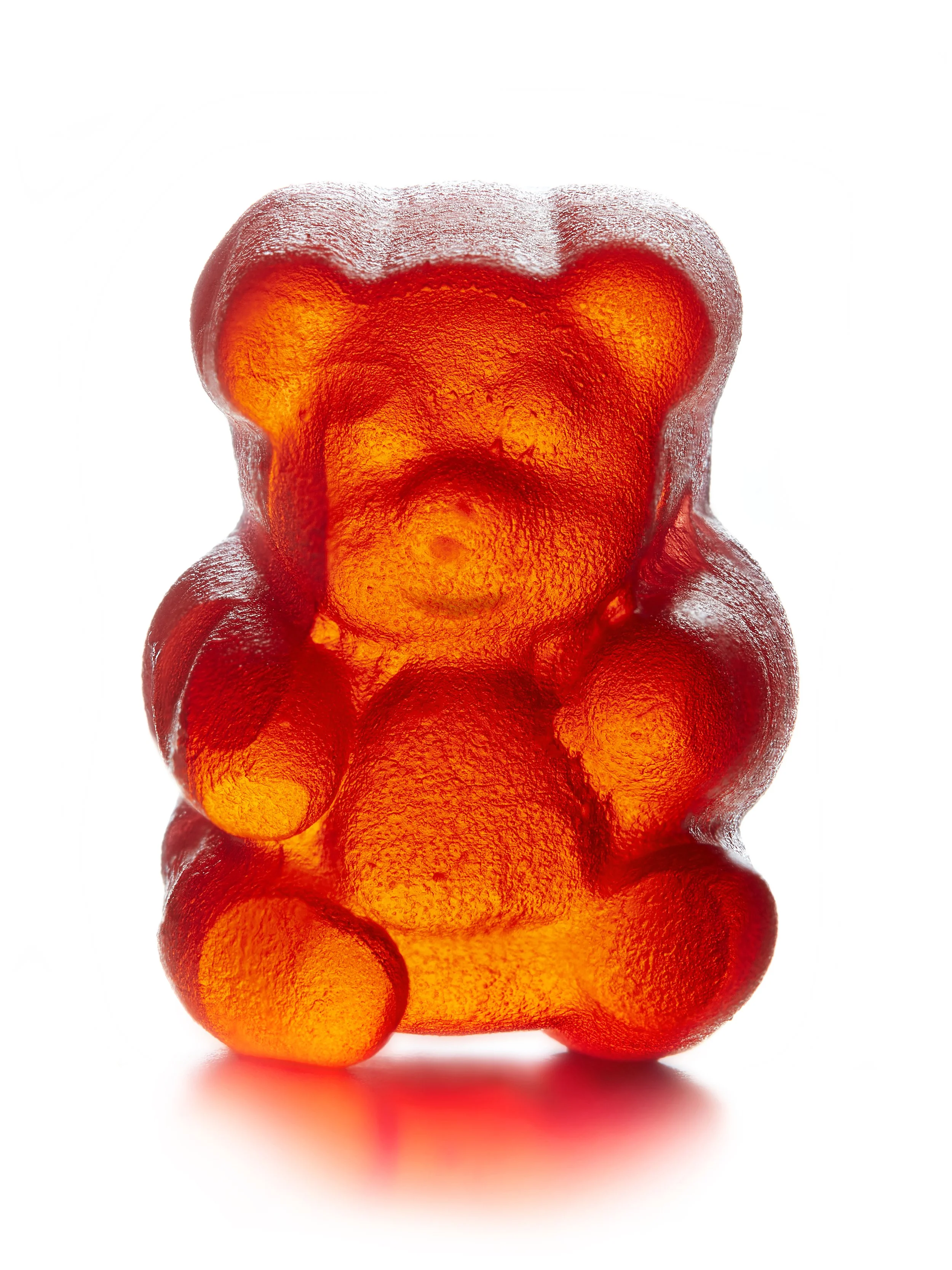 red_bear_cor_24x16.jpg