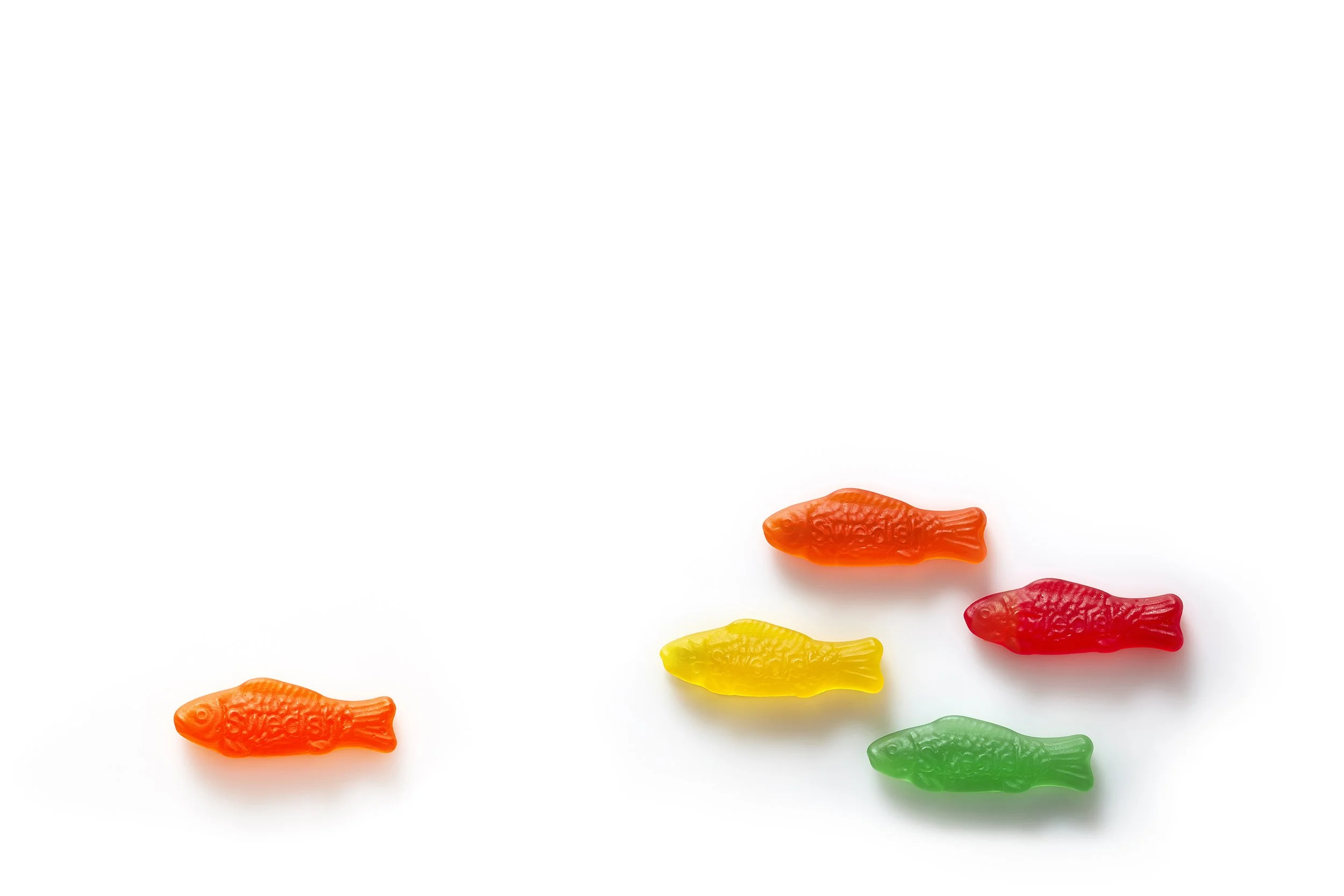 fish.jpg
