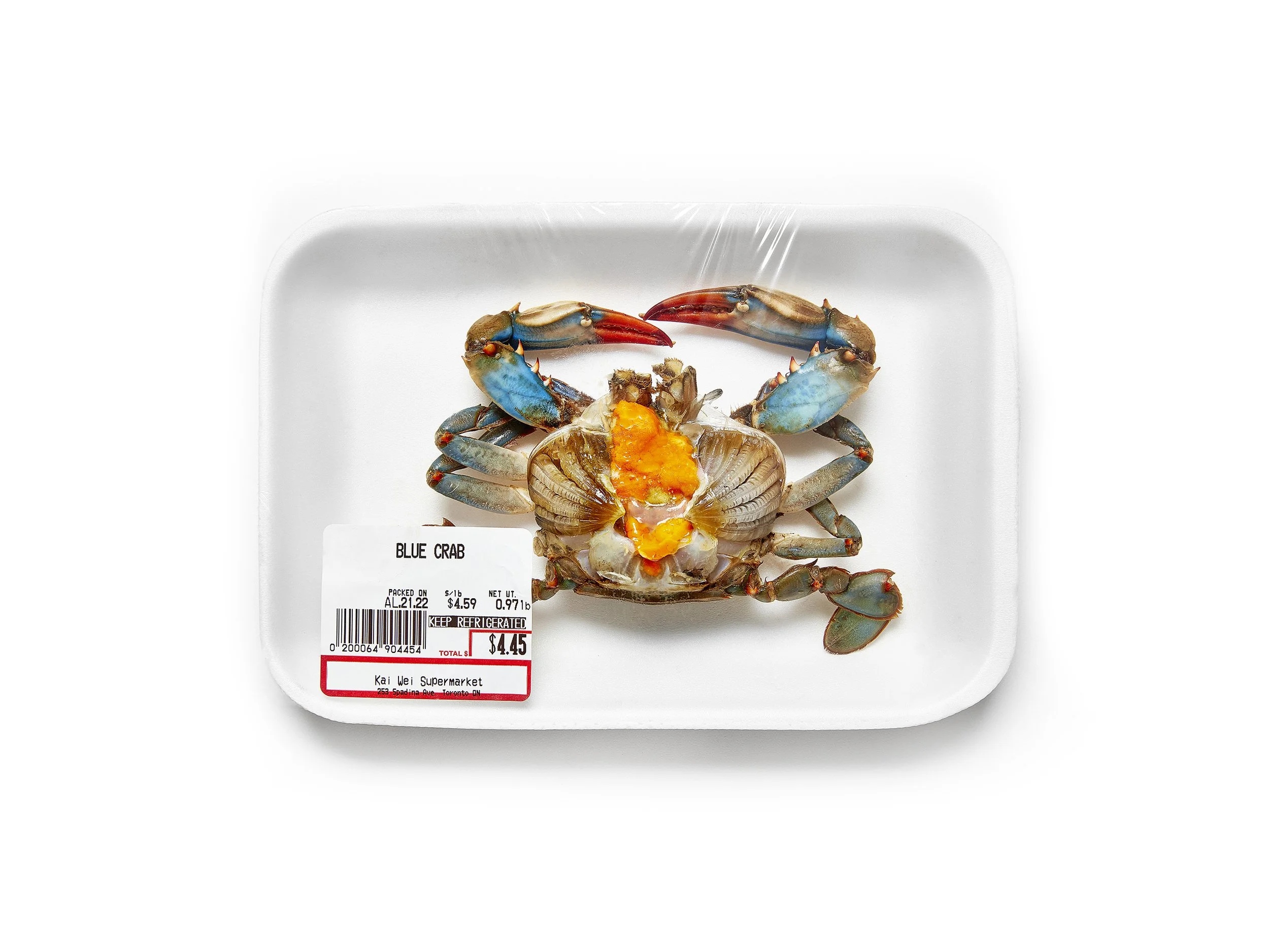crab_.jpg
