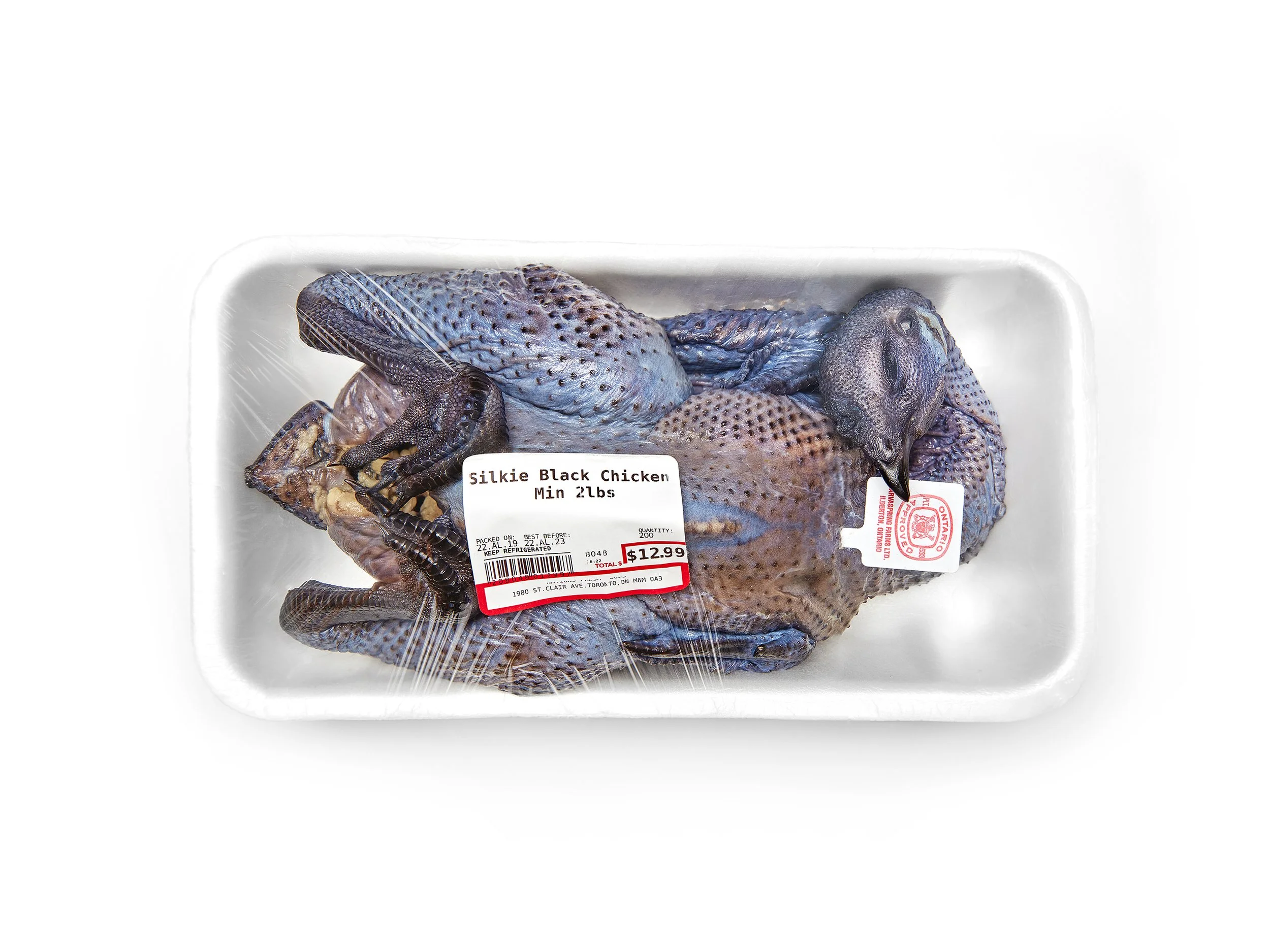 chicken.jpg