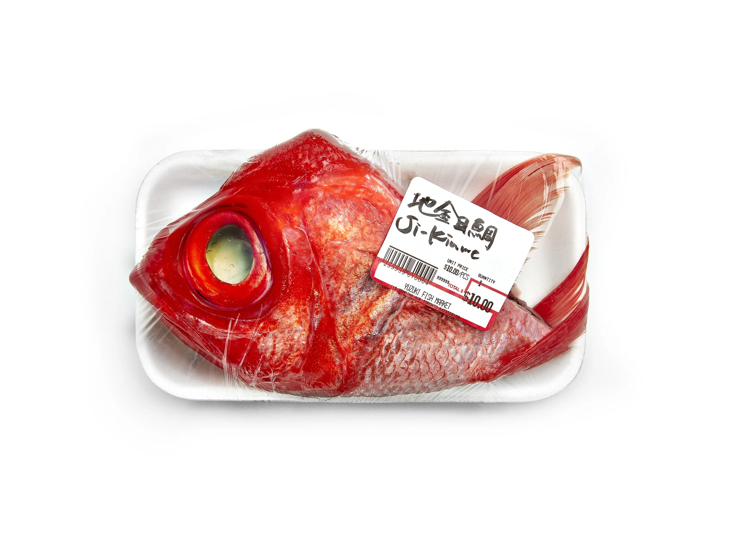 fish_.jpg