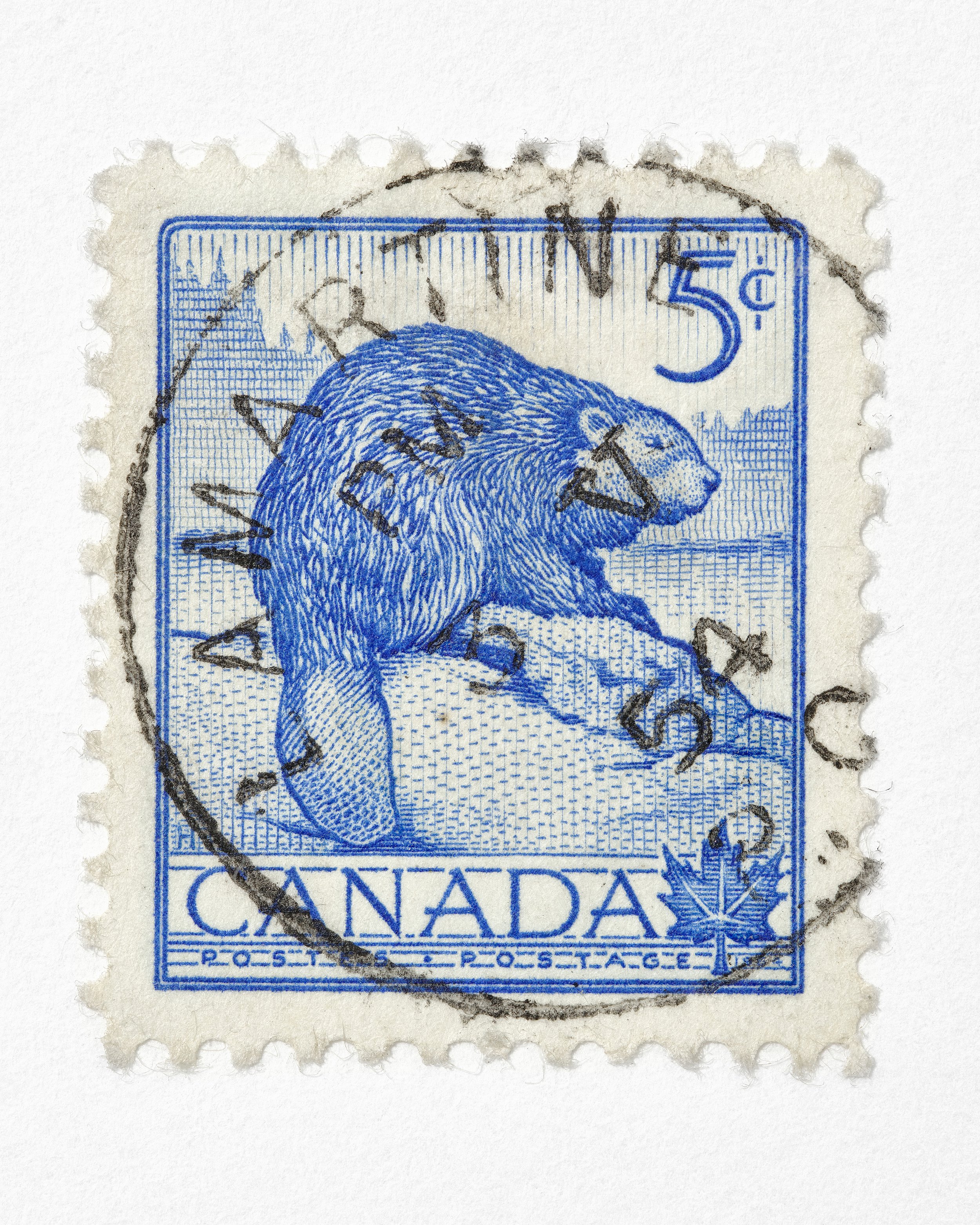 Stamps_Beaver.jpg