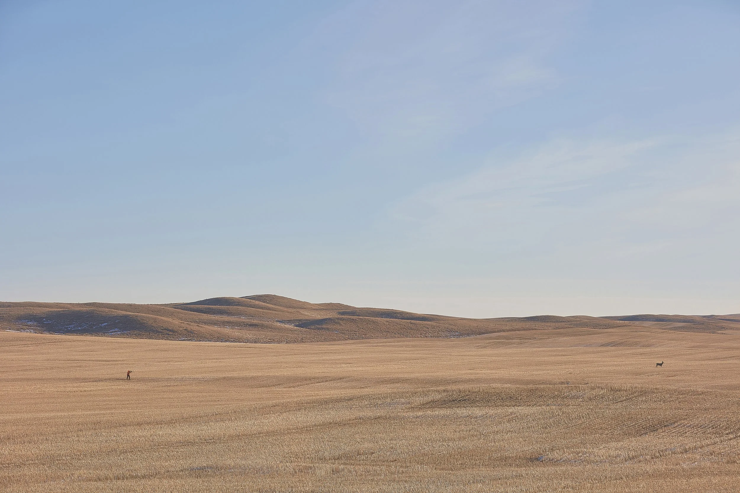 0O7A6885_cor_man_and_deer.jpg