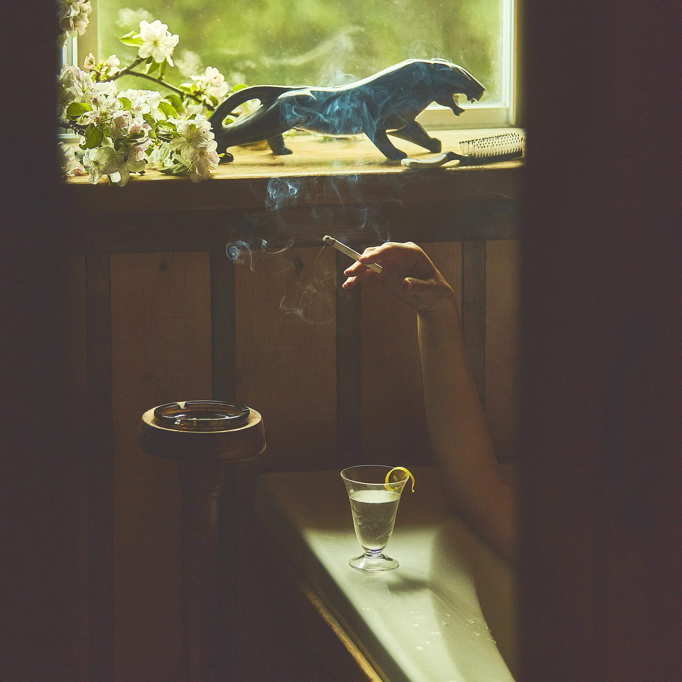 1356_panther_24x24.jpg