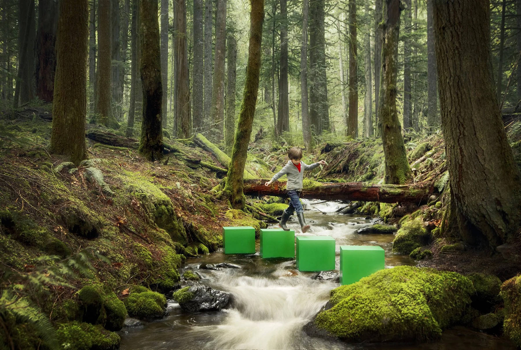 Trees_v3_hires copy.jpg