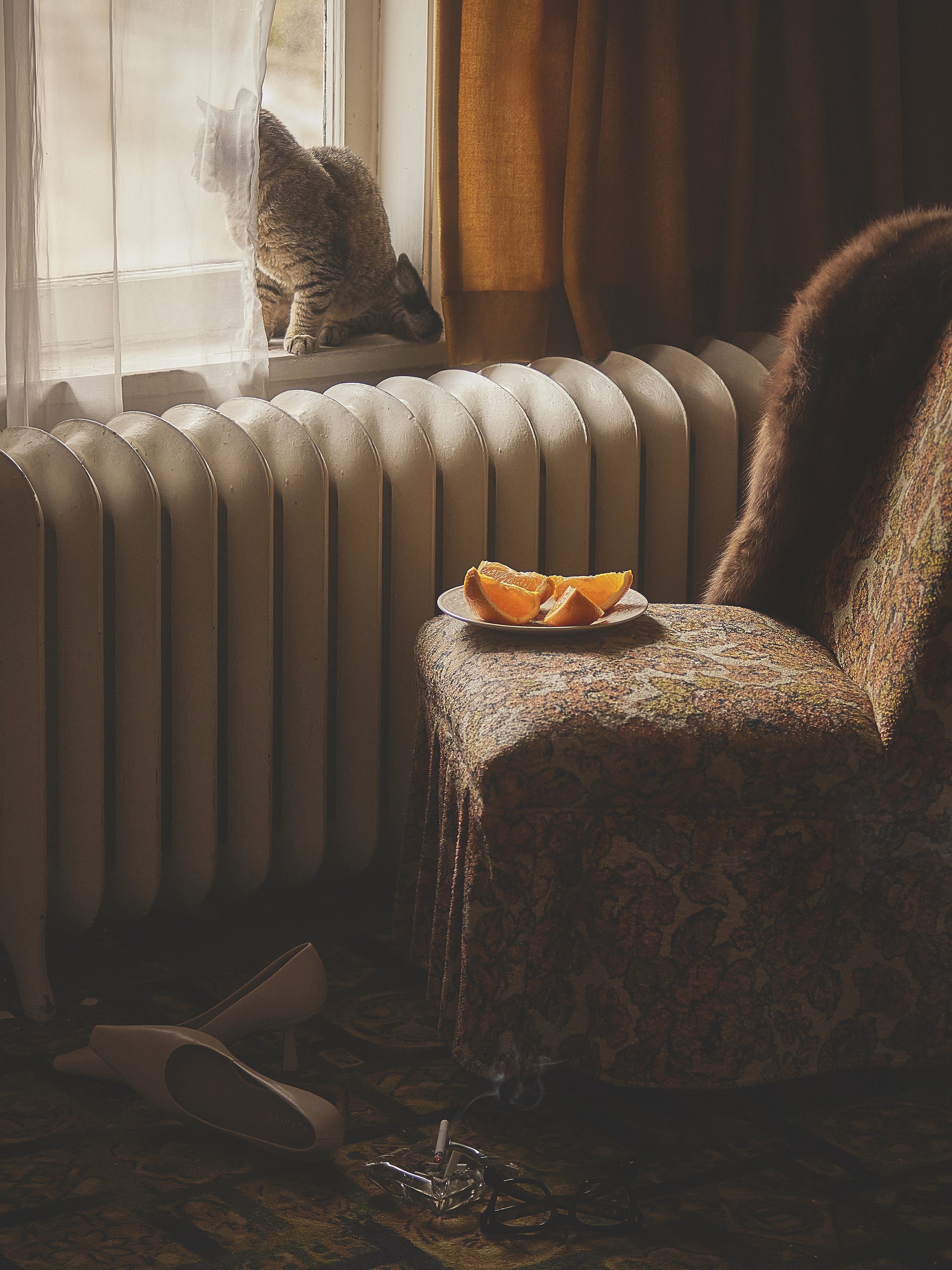 cat.jpg