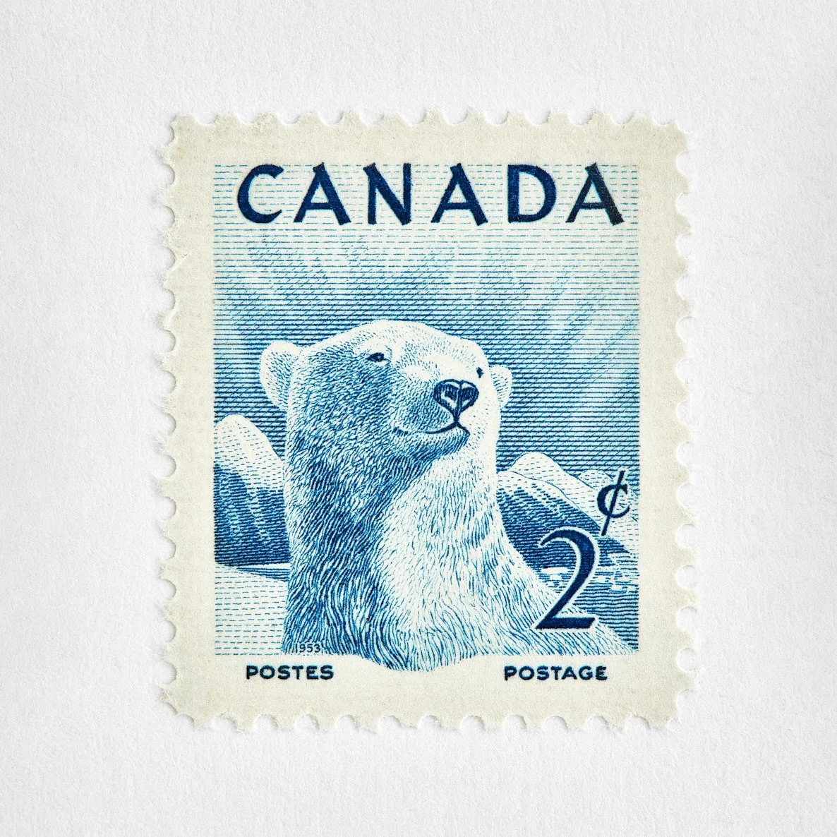 1x1_447_1953_Nationalwildlife_Week_cor copy.jpg