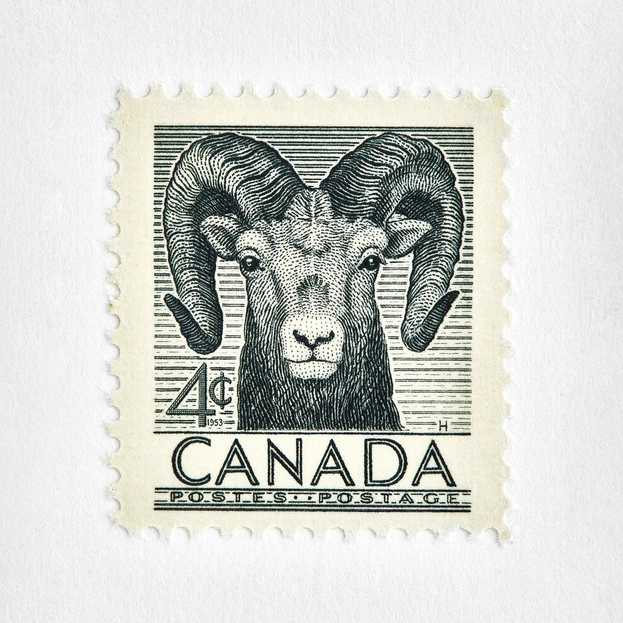 1x1_449_1953_NationalWildlife_Week_cor  copy.jpg