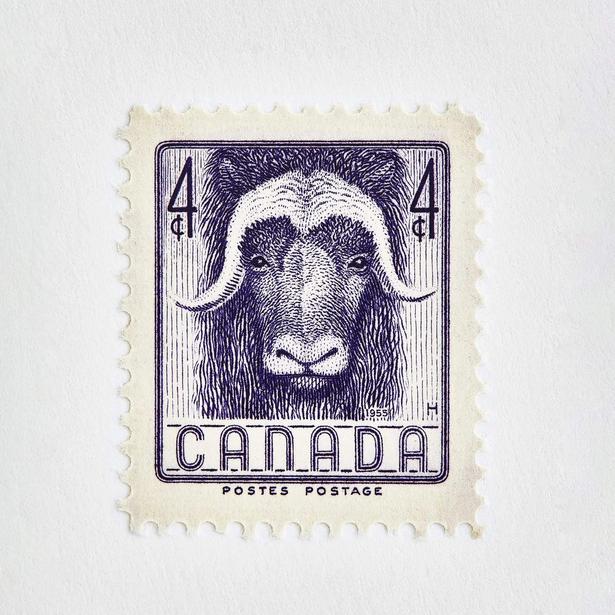 1x1_478_1955_NationalWildlife_Week_cor copy.jpg
