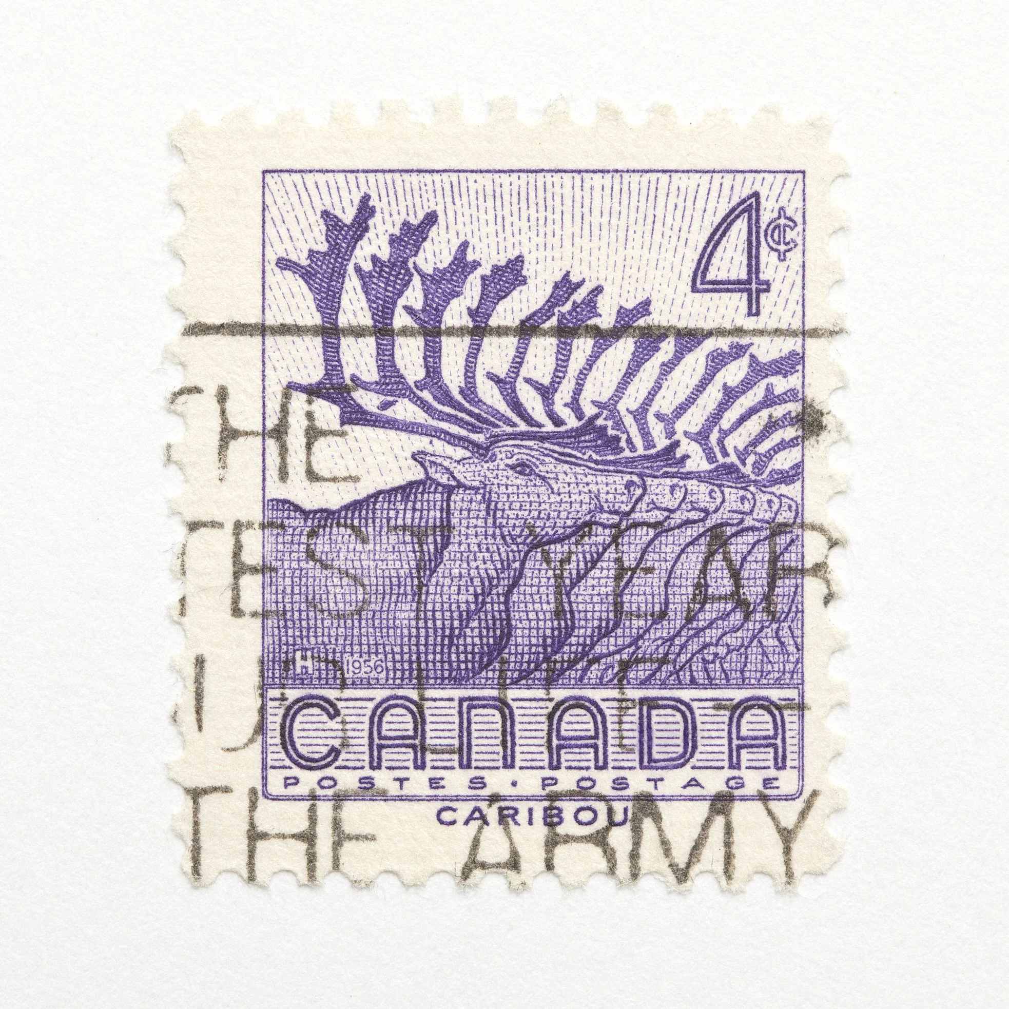 1x1_17358_cor.jpg