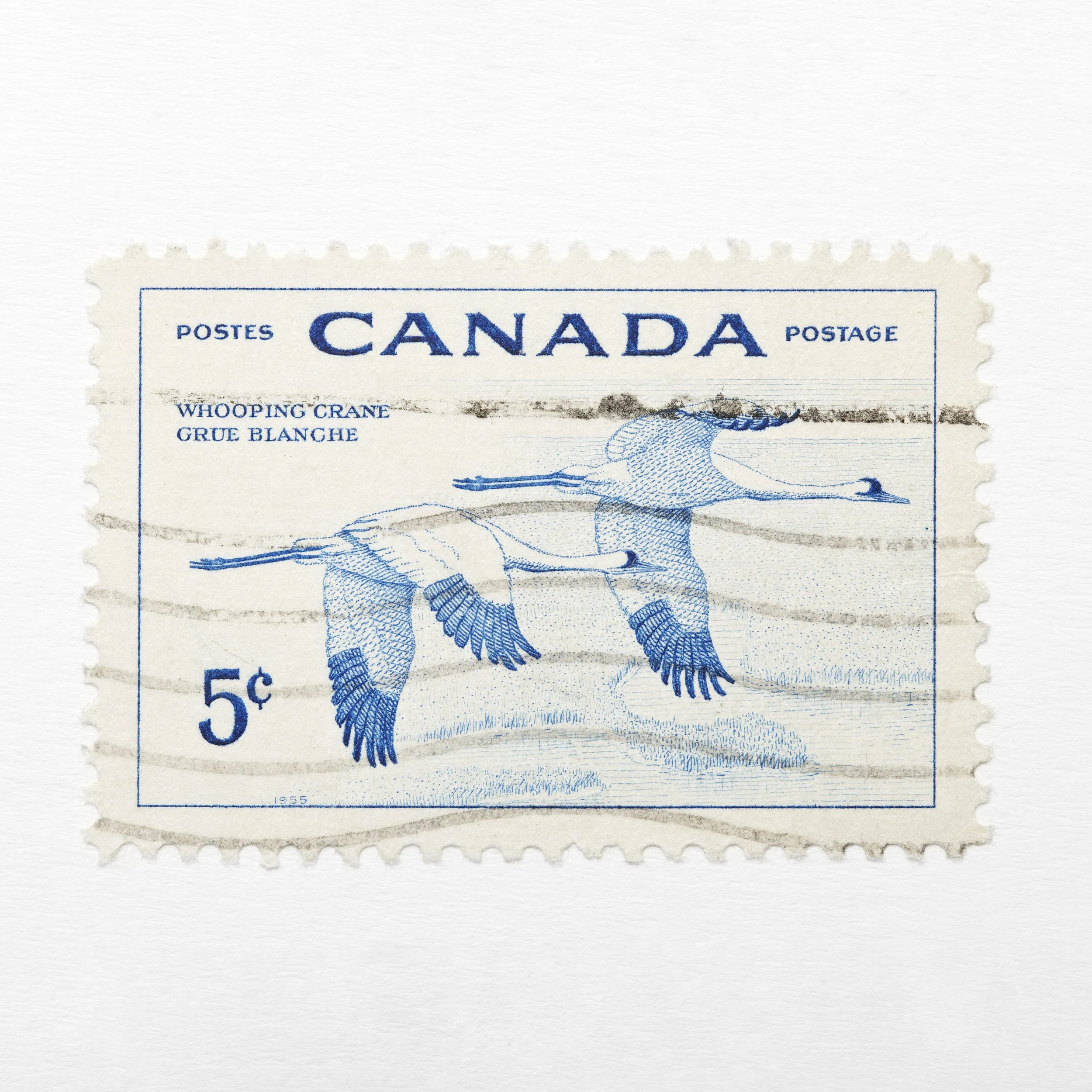 1x1_17360_whooping_crane_stamp.jpg