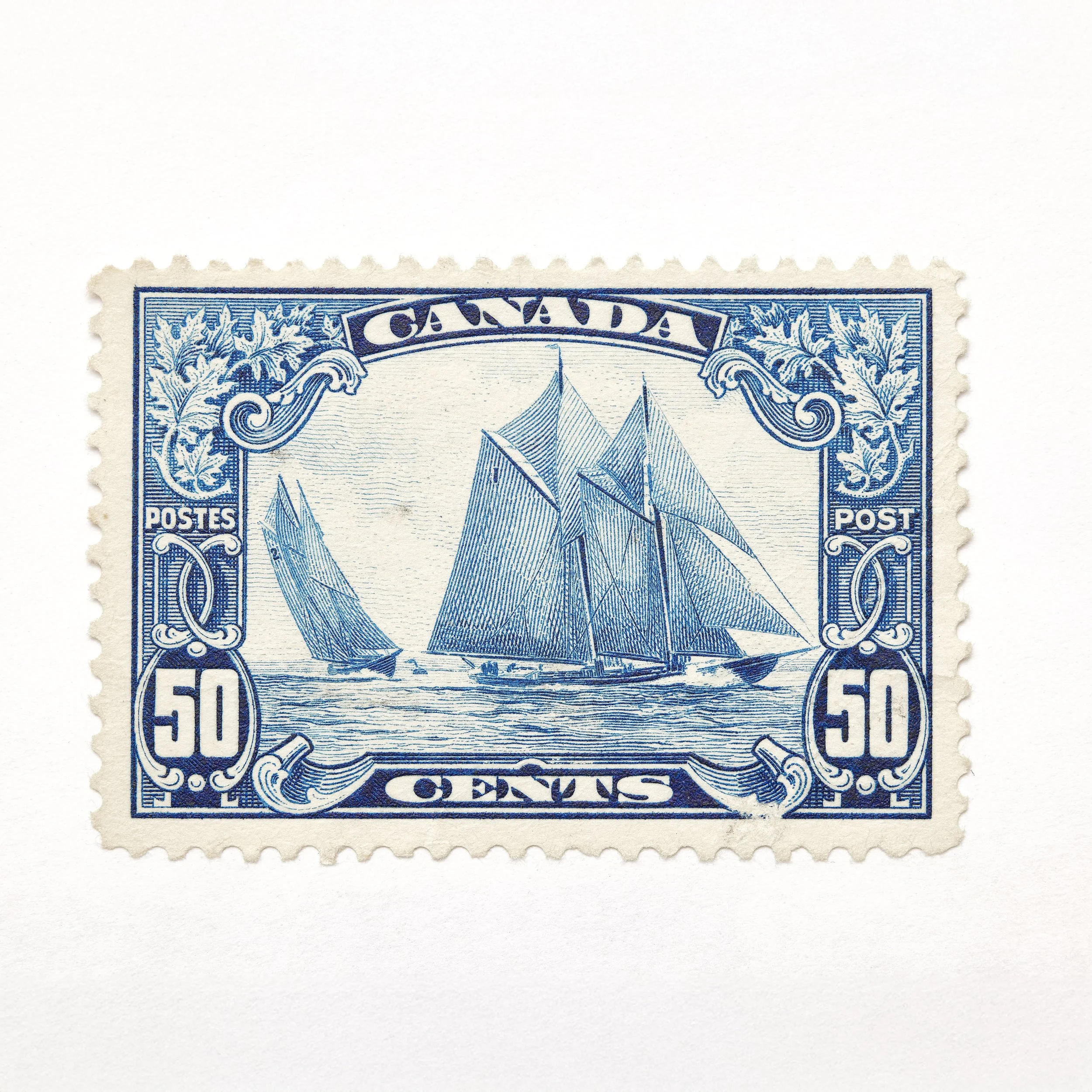 1x1_bluenose3.jpg
