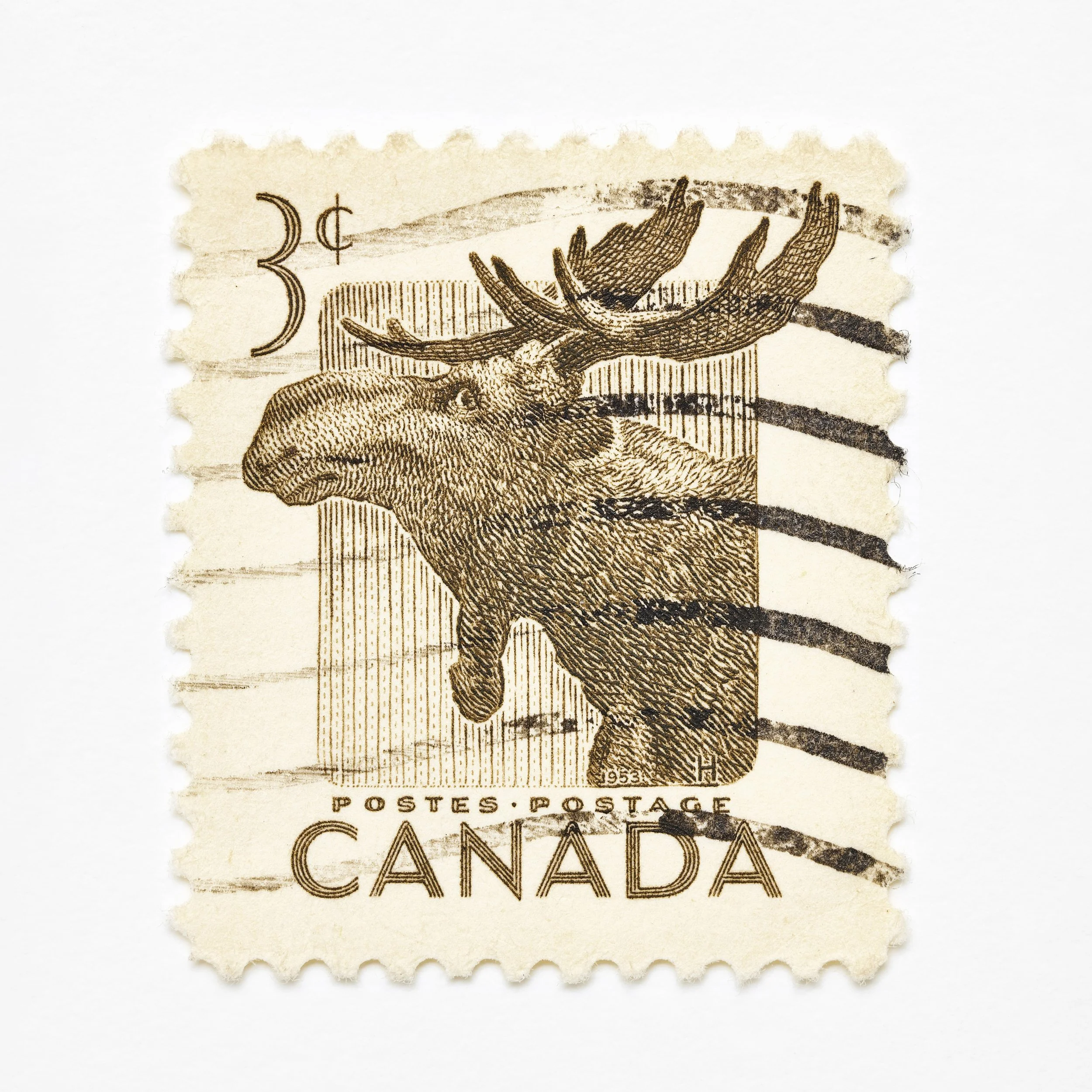 1x1_MooseStamp13802.jpg