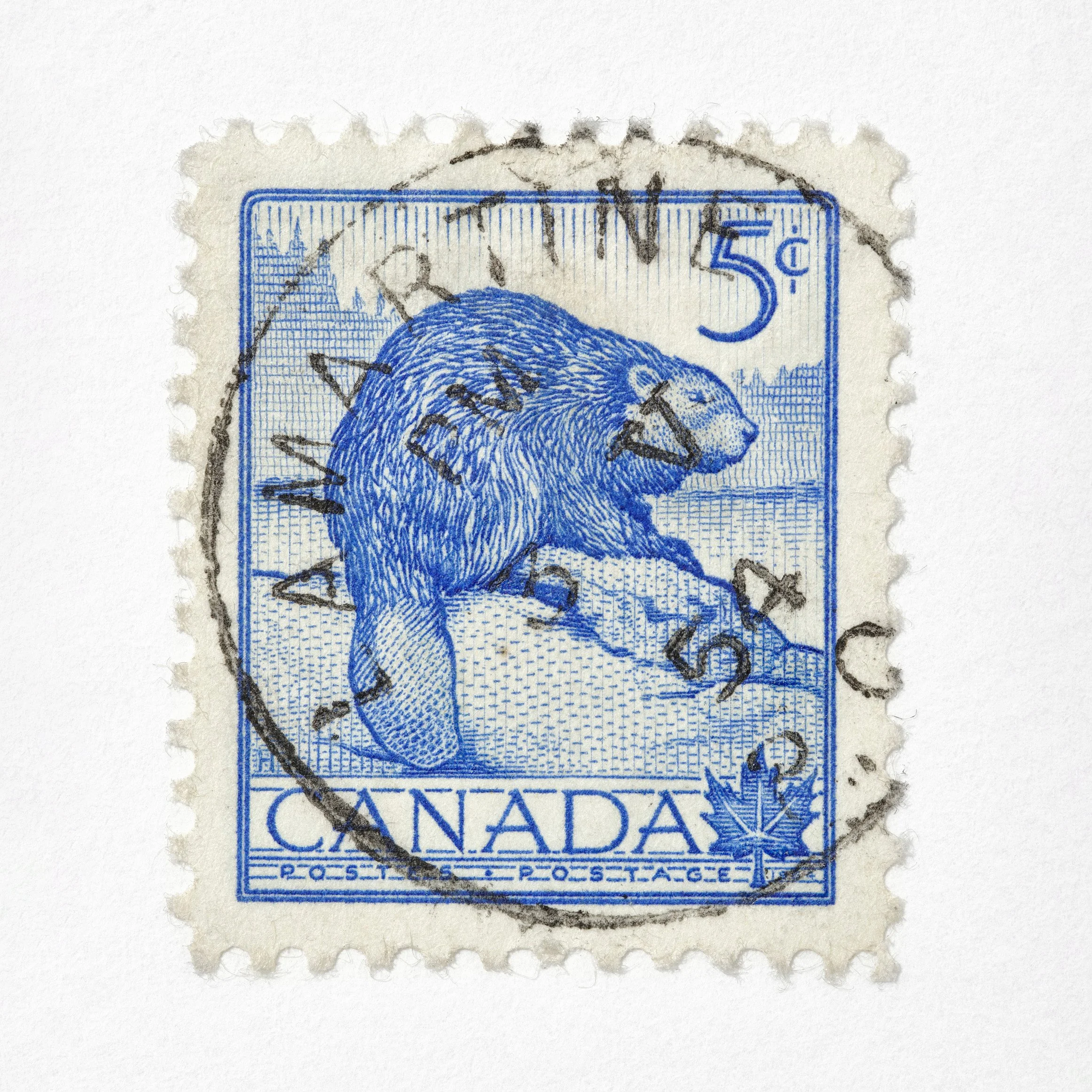 1x1_Stamps_Beaver_40x32 copy.jpg