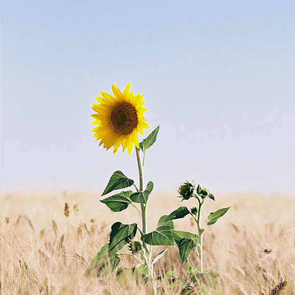 Core photo 2.jpg
