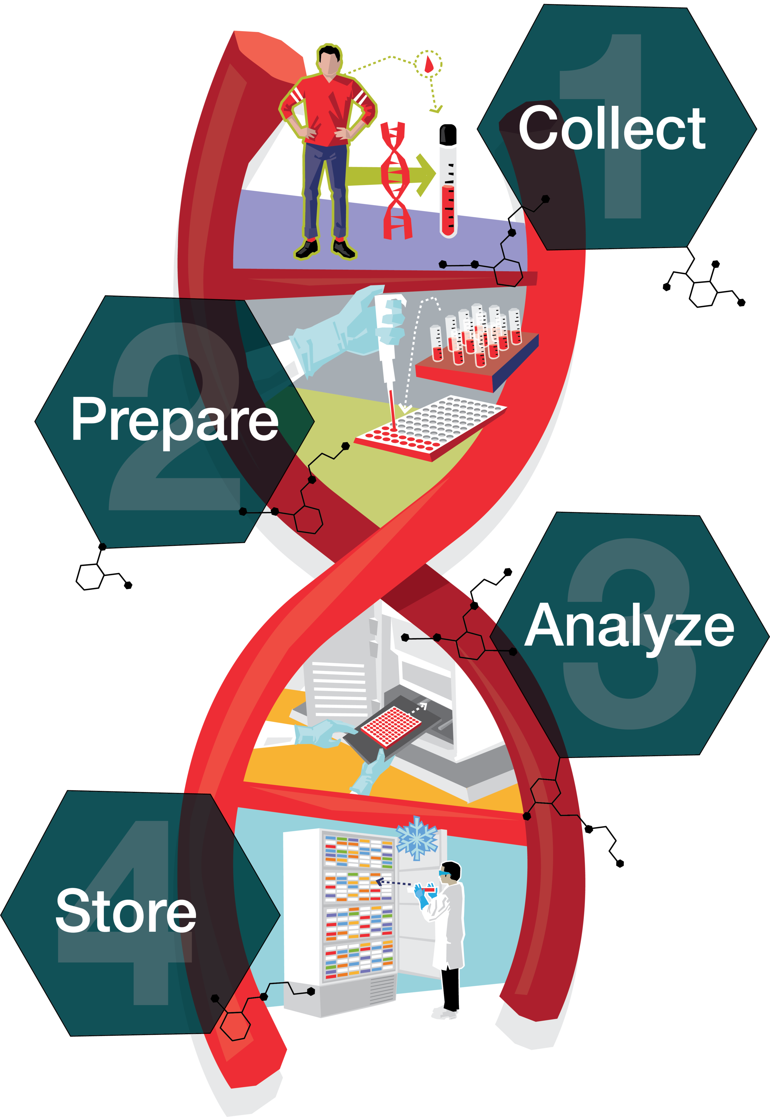 DNA_5.png