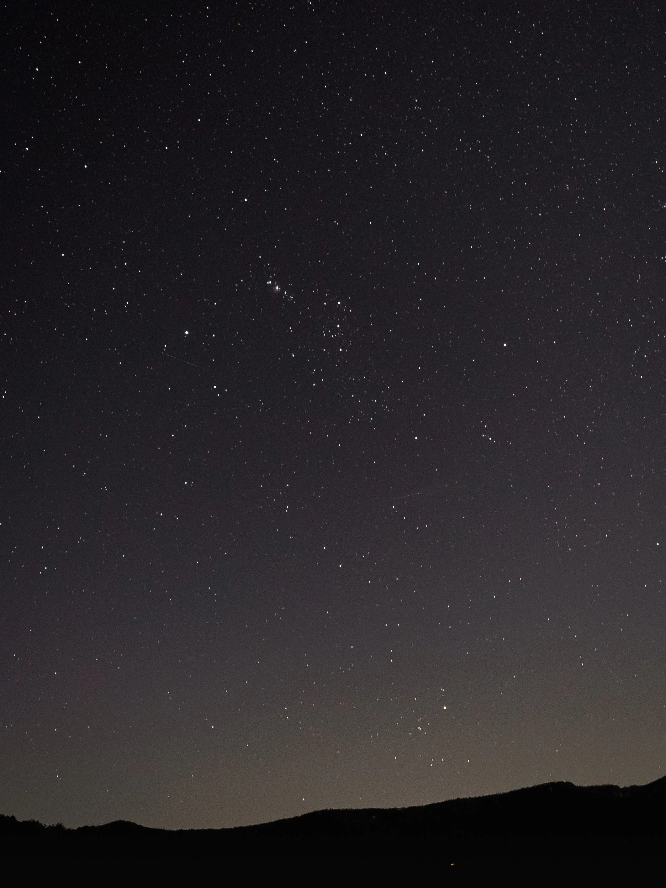 Declan Buswell - Das-34.jpg