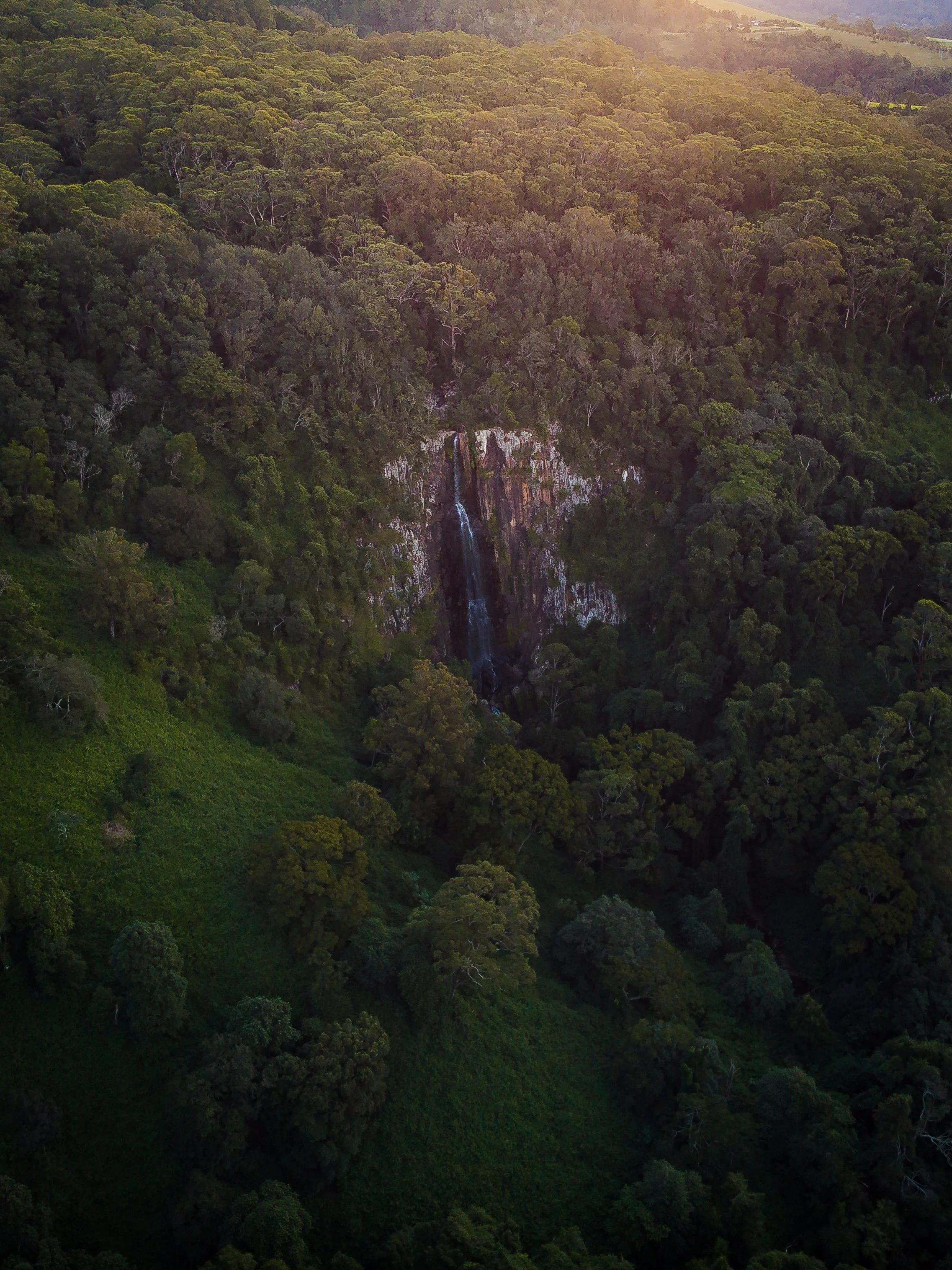 Declan Buswell - Das-26.jpg