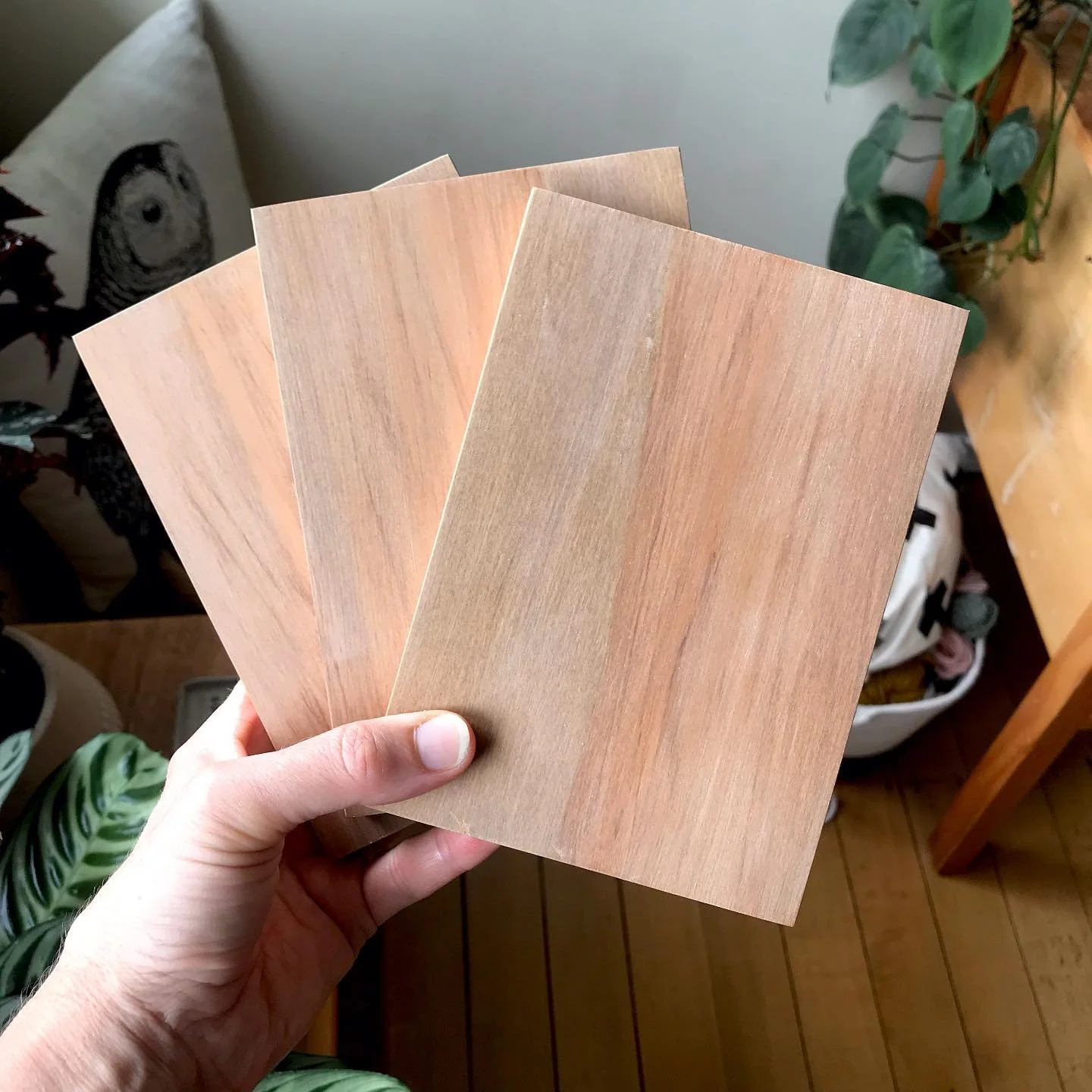 Three new rimu blocks (cut by my husband) and ready for yarn 🧶