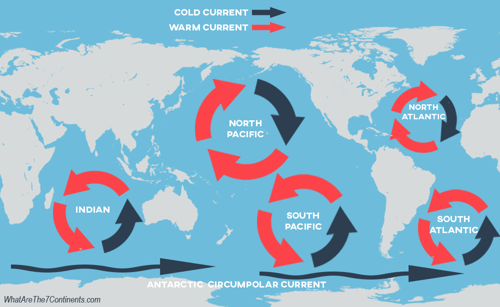 Lesson 1 3 Ocean Gyres And Currents Coastal Natives