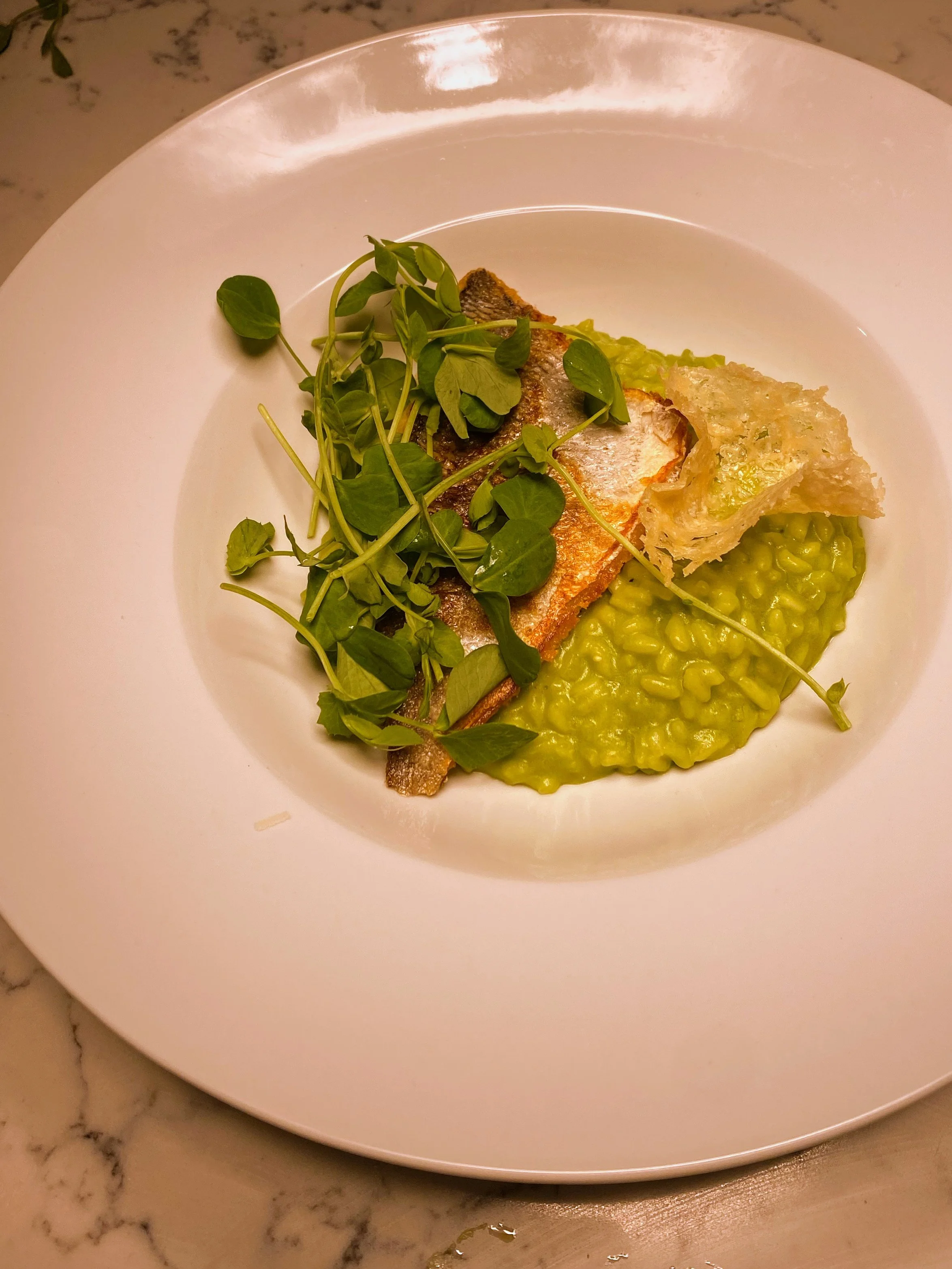 Pan-Fried Sea Bream, Pea Risotto