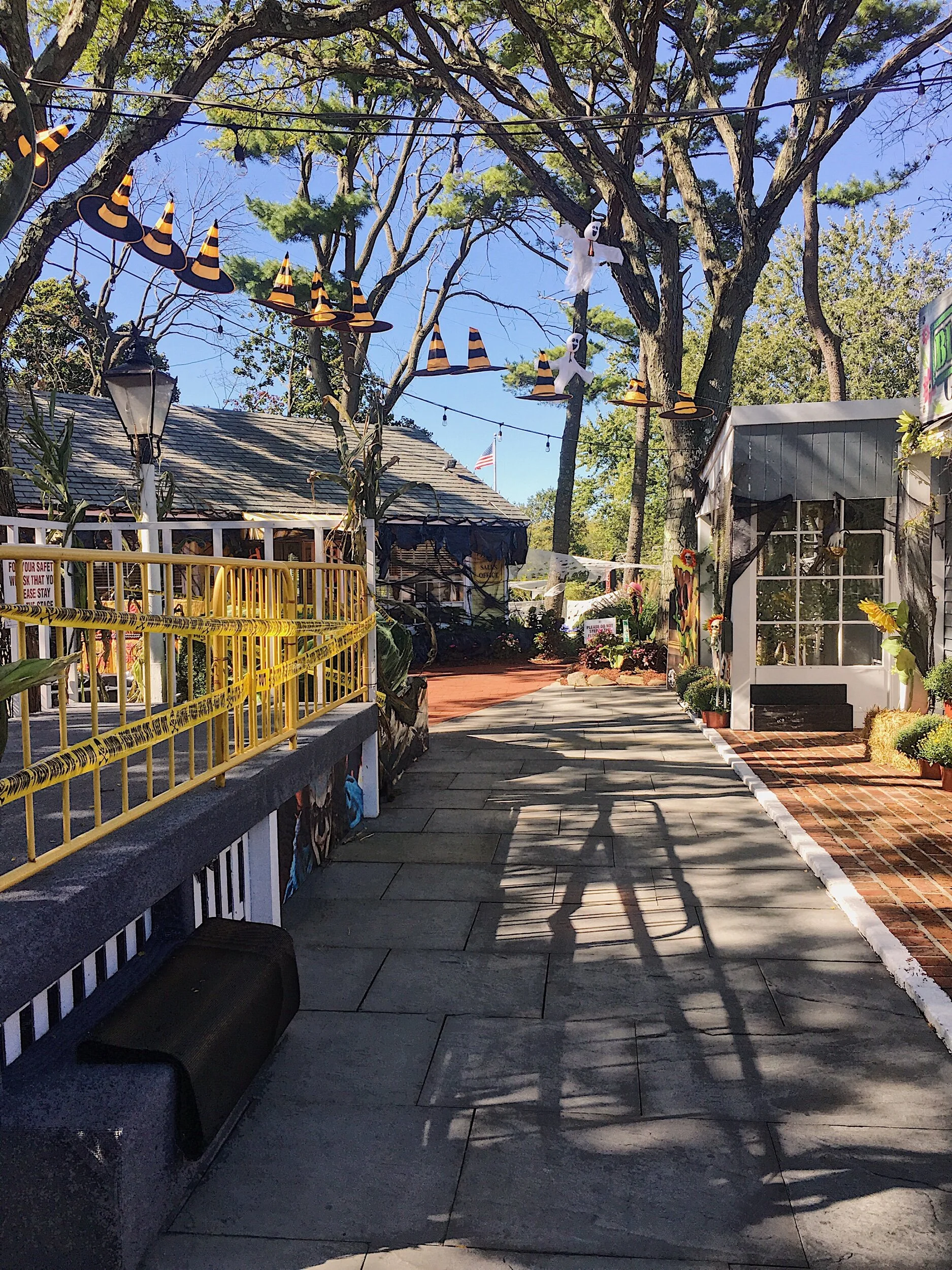 Walking down the Main Street of Milleridge Village
