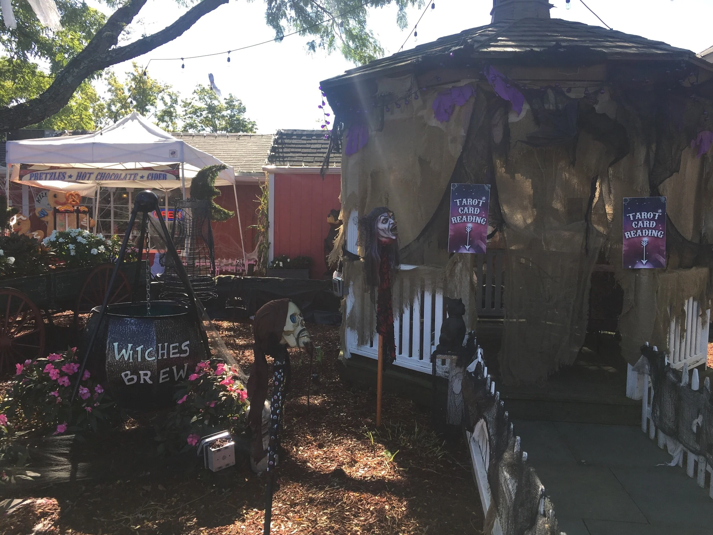 Tarot Card Reading at the Gazebo