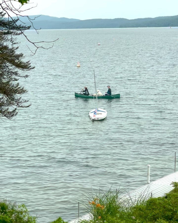 How cute are these pups on the canoe?🛶 I love seeing dogs on boats with their owner, earlier this week we saw a pup with a life jacket jump from the boat into the lake! 

While stopping for ice cream we saw this pretty neat stream running right thro