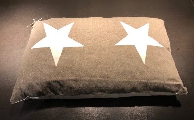 star pute.jpg