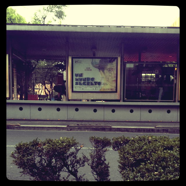 14-IMG_2092.png
