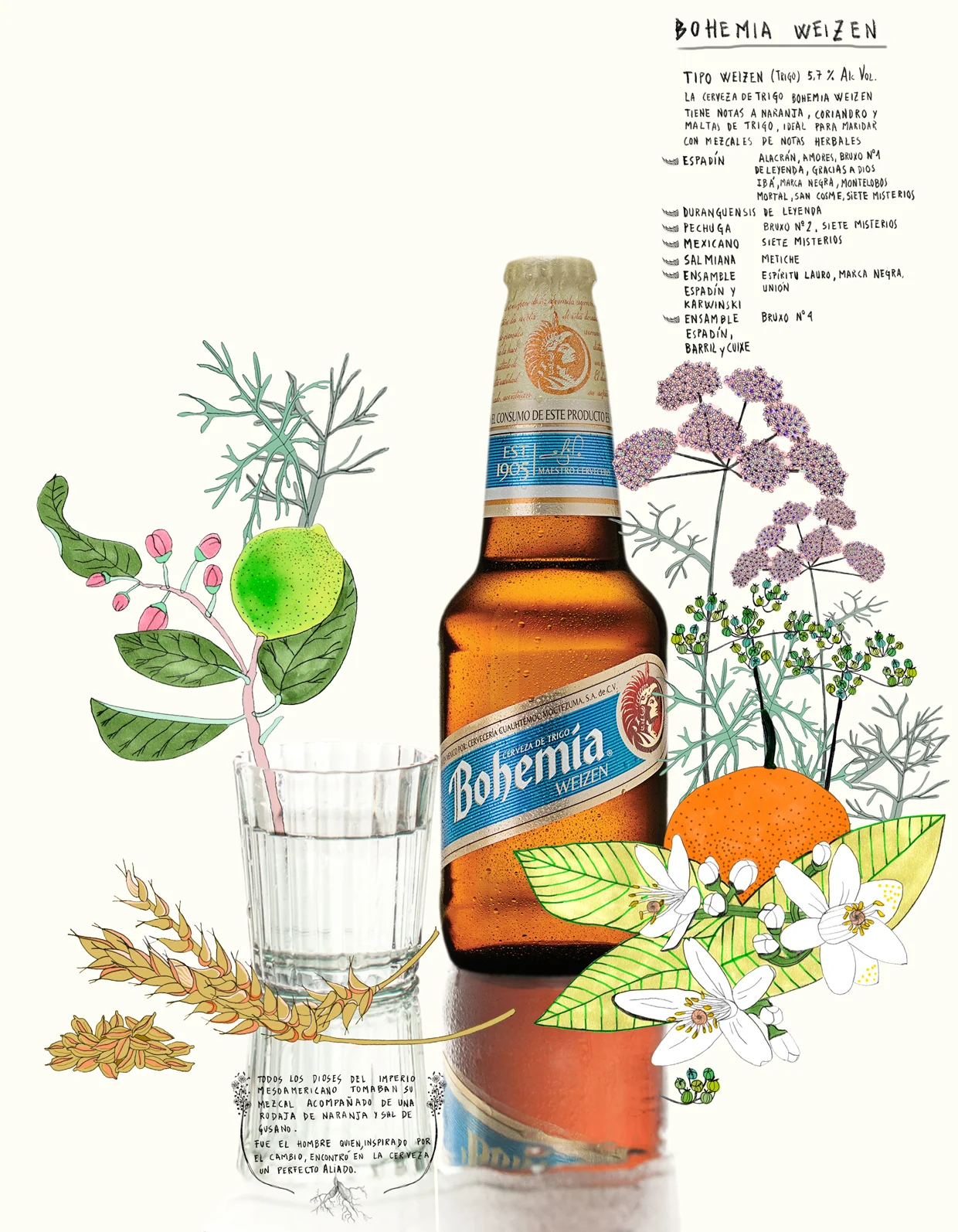 3-WEIZER-50.jpg