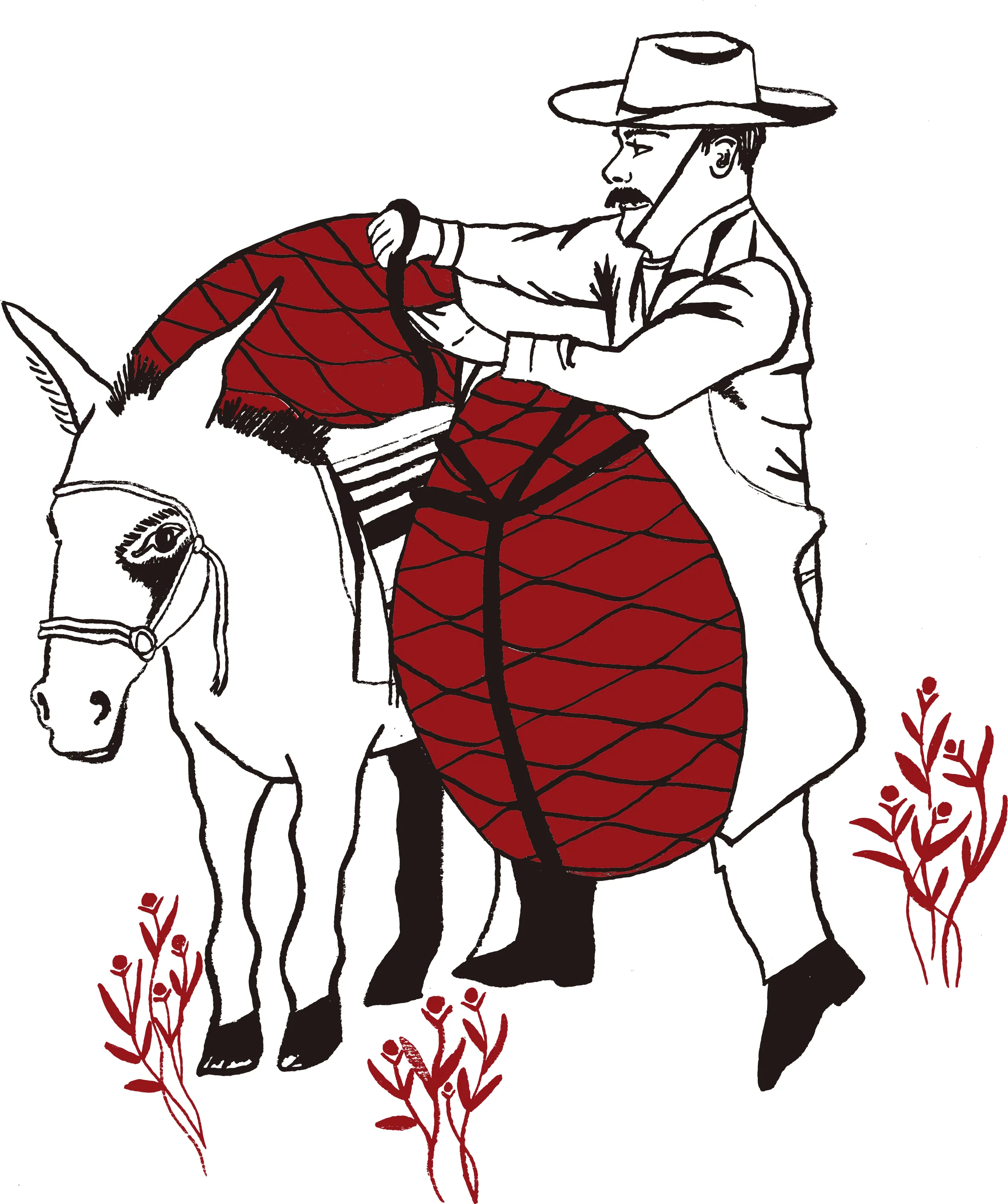 NUEVO-señor burro copy-2.jpg