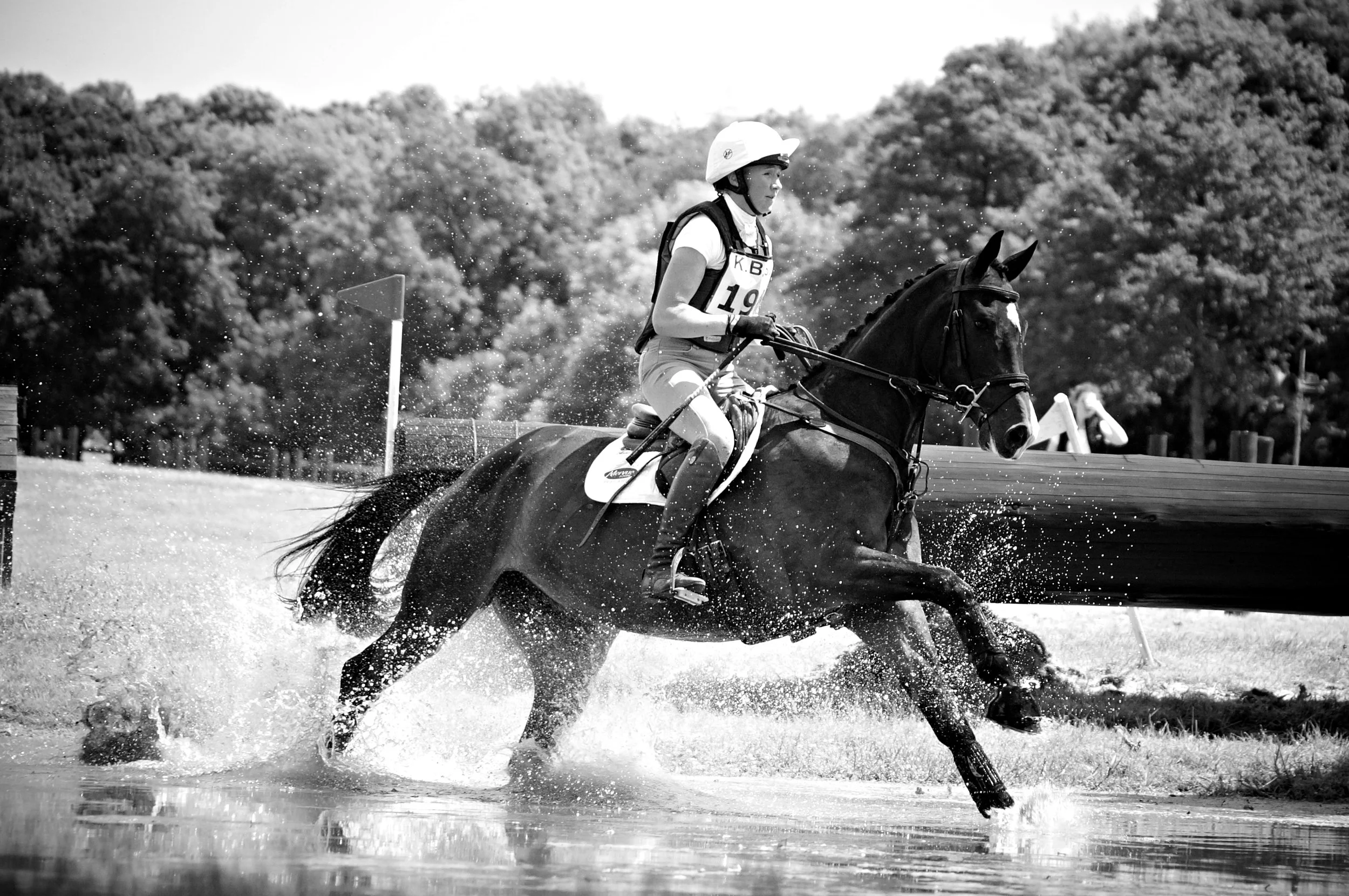  Aoife Clark &amp; Homme Dhotot M  Catton Park Horse Trials  June 2017 