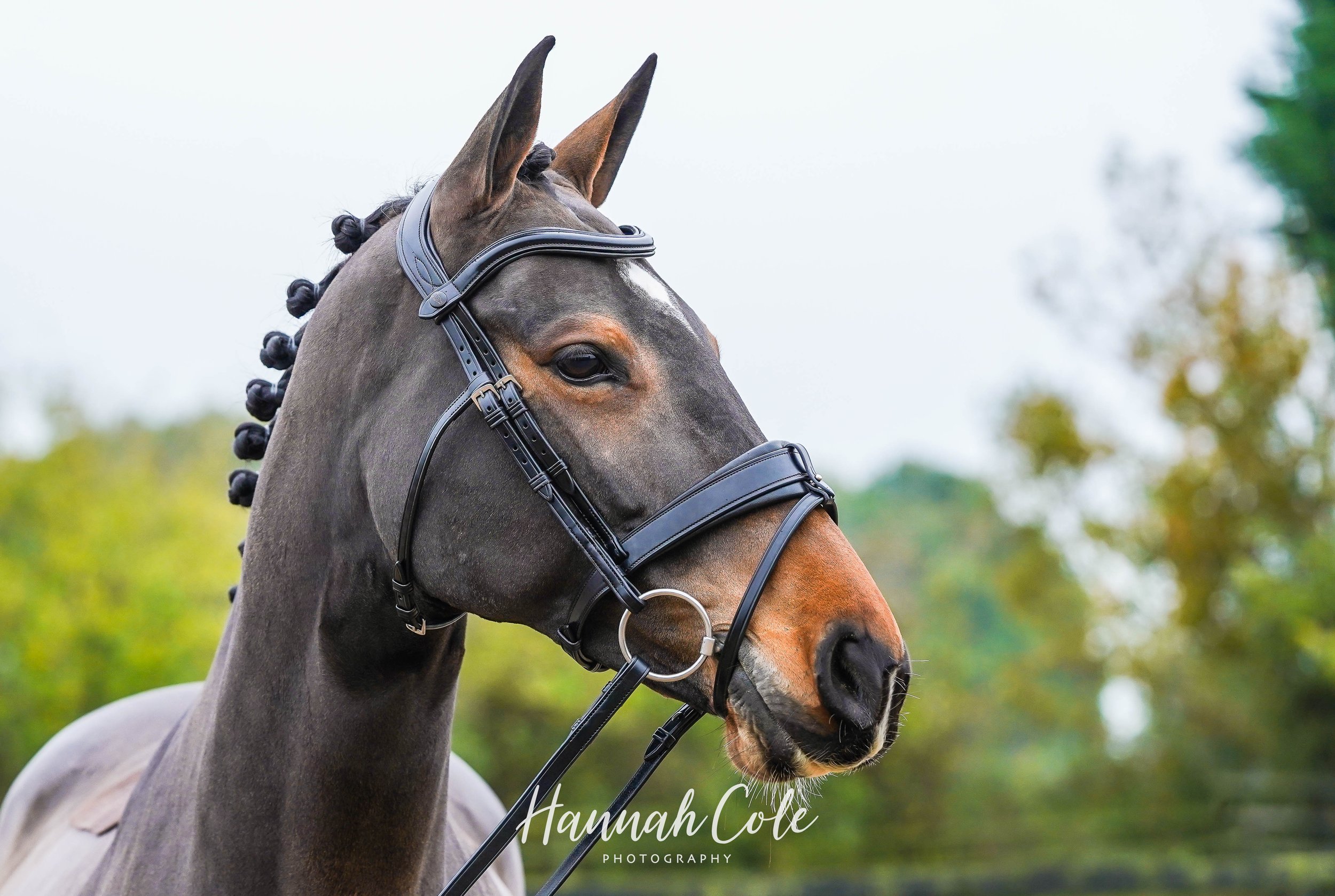 HCP Expert22-02028.jpg