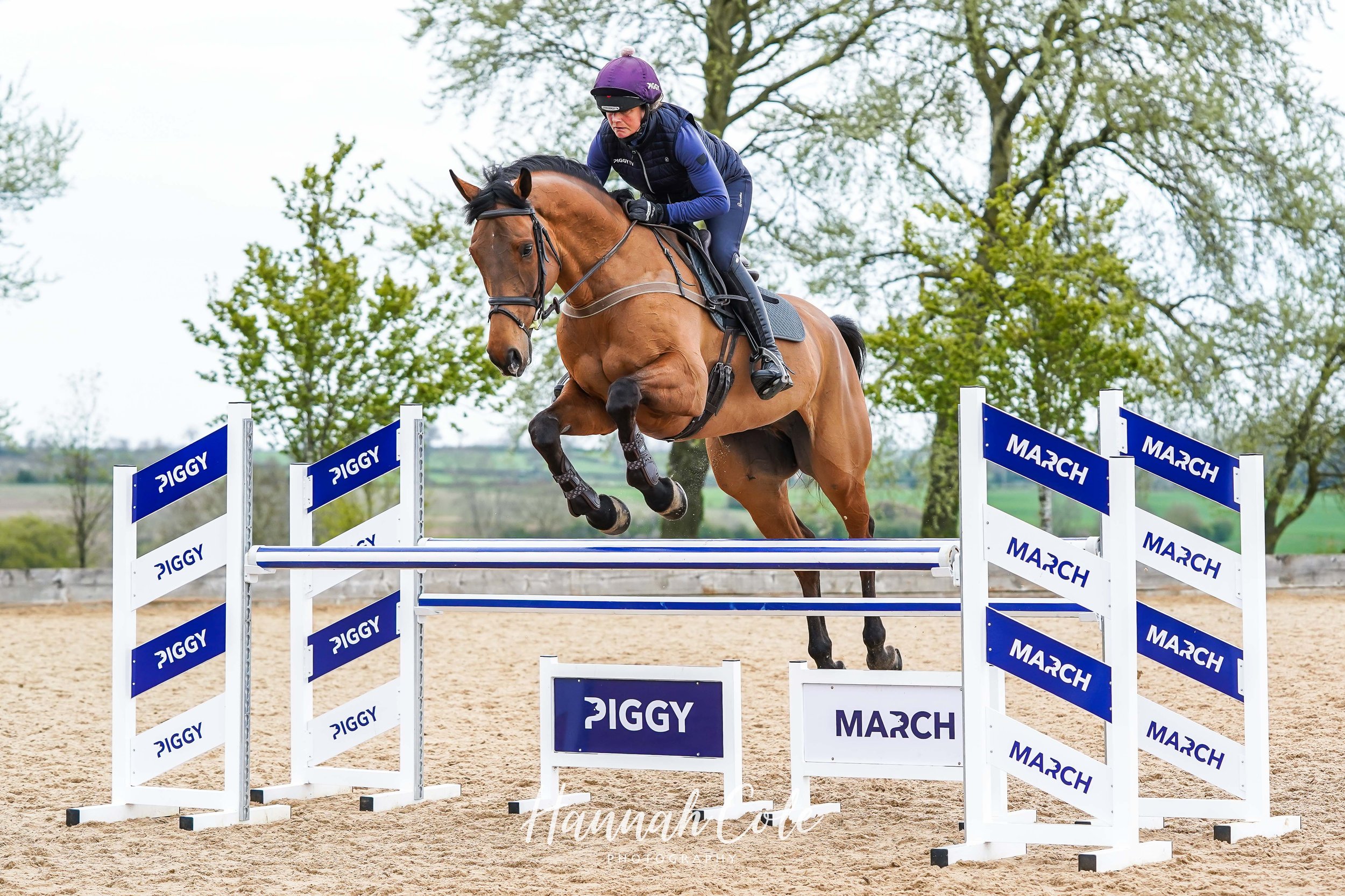 HCP Piggy23-06381.jpg