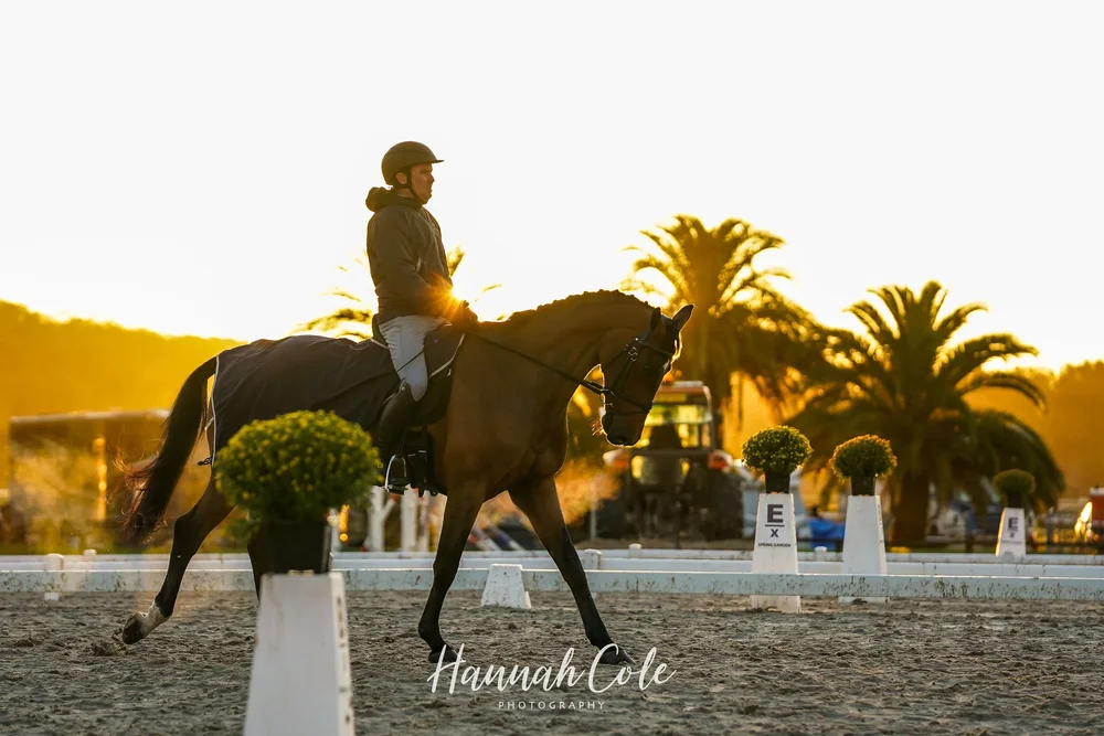 2023: The catch up one