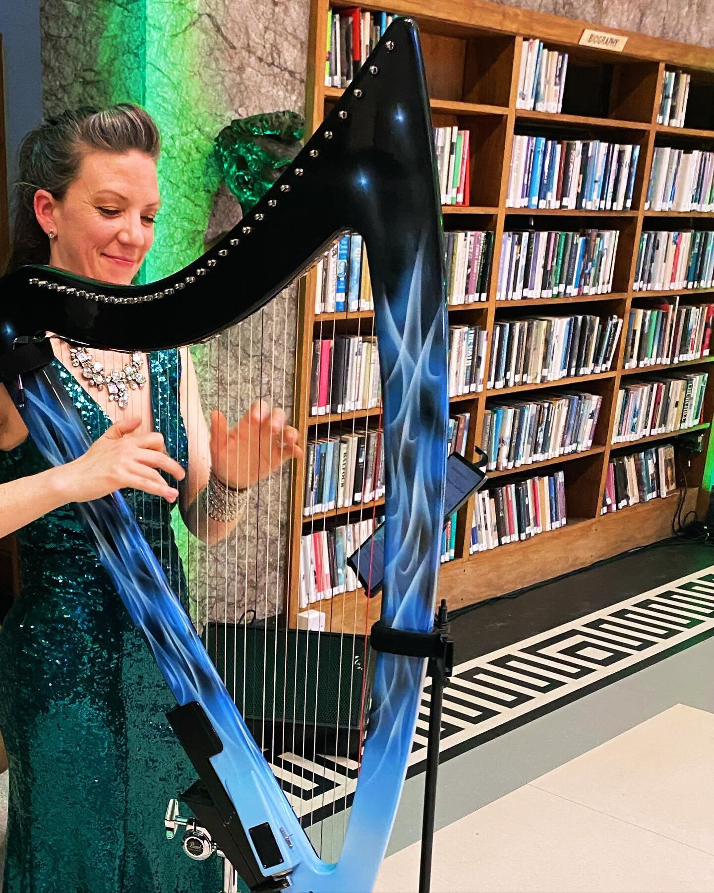 #electric #harpist and dear friend #AislingEnnis bringing her #magical music to the #Gala Reception last week for #guaranteedirish #GIBA24 Business Awards. #RDS 

@pursuitofharpiness @aisling.ennis @guaranteed_irl @rdsdublin @seagency1 

#SEAentertai