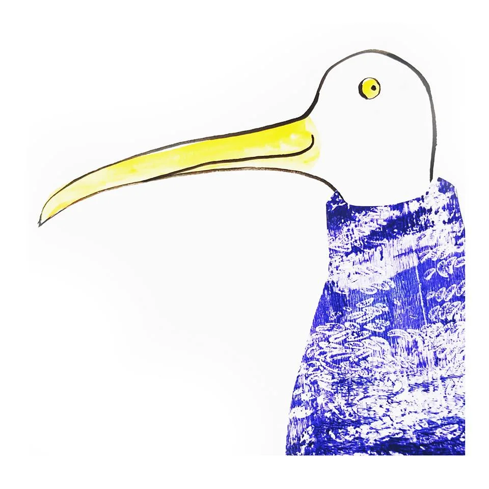 hazelterrygull 1.jpg