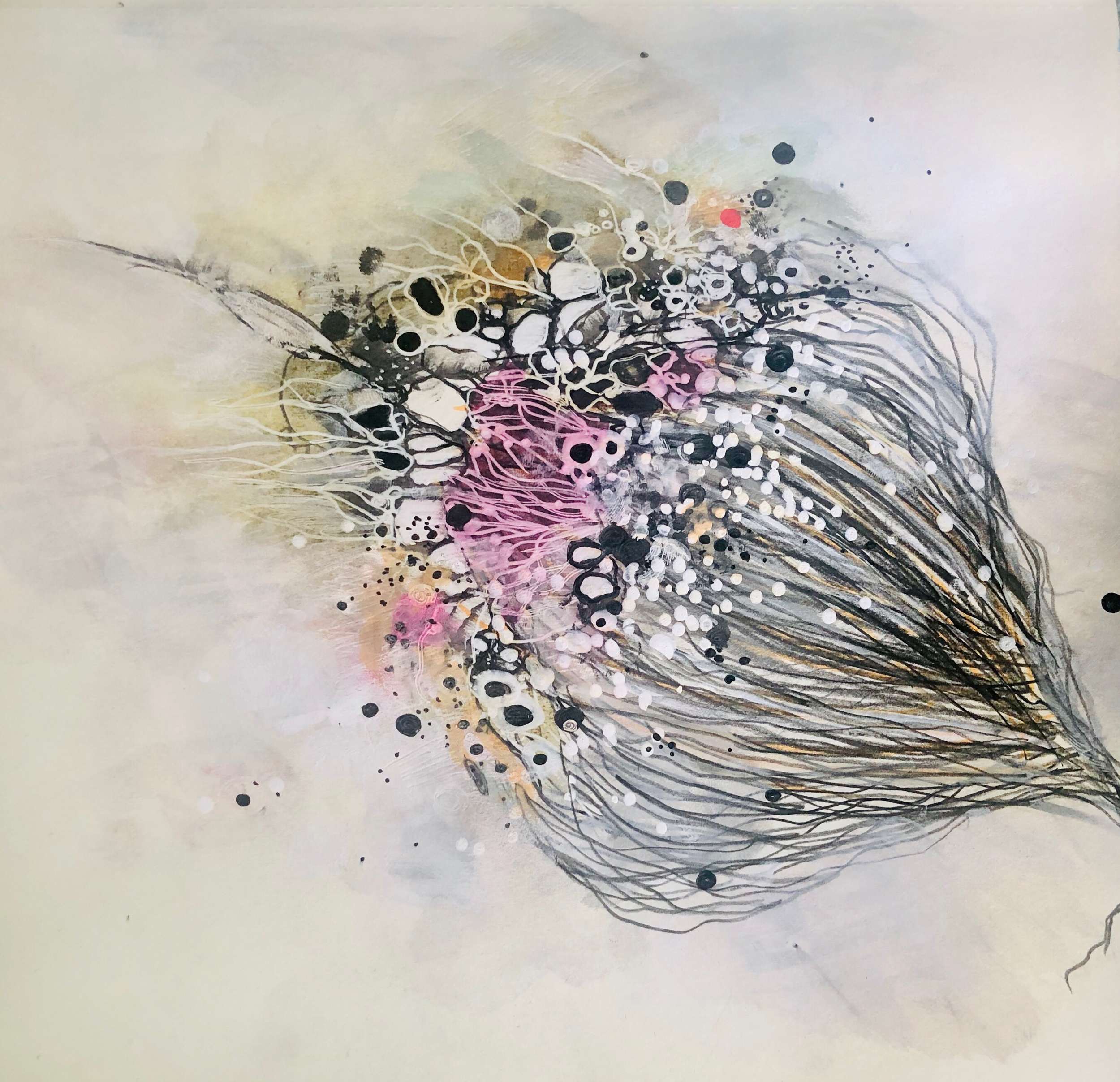 Protea #3