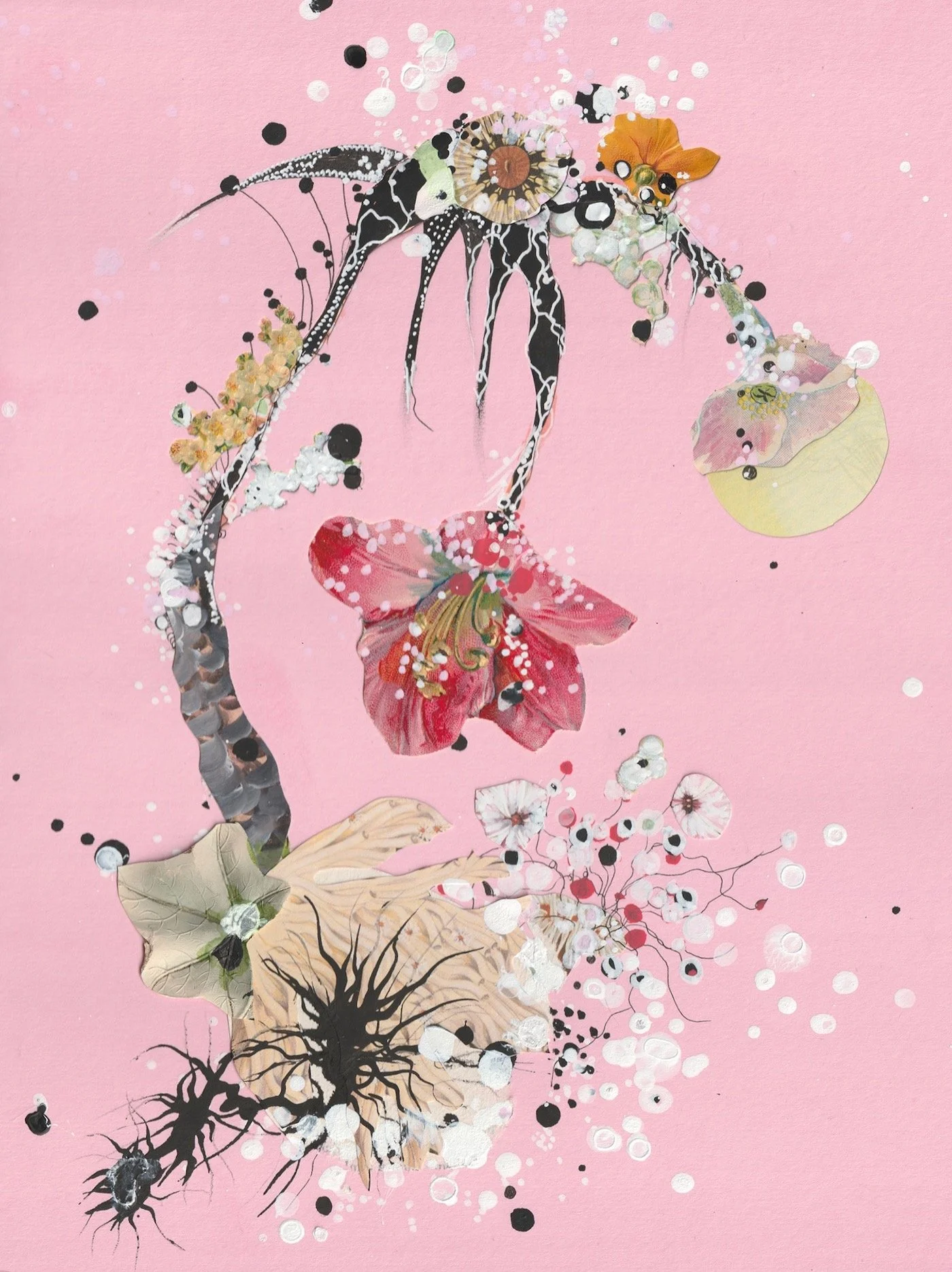 The Mysteries of Snow on Melon Flowers