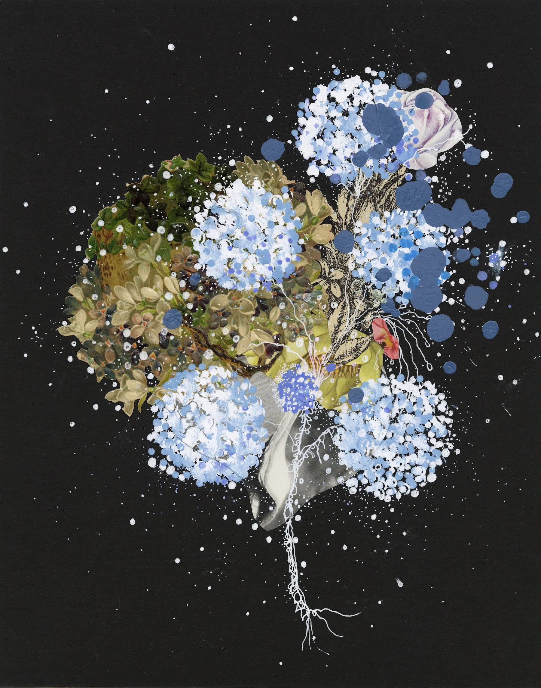 Celestial Snowball Flower