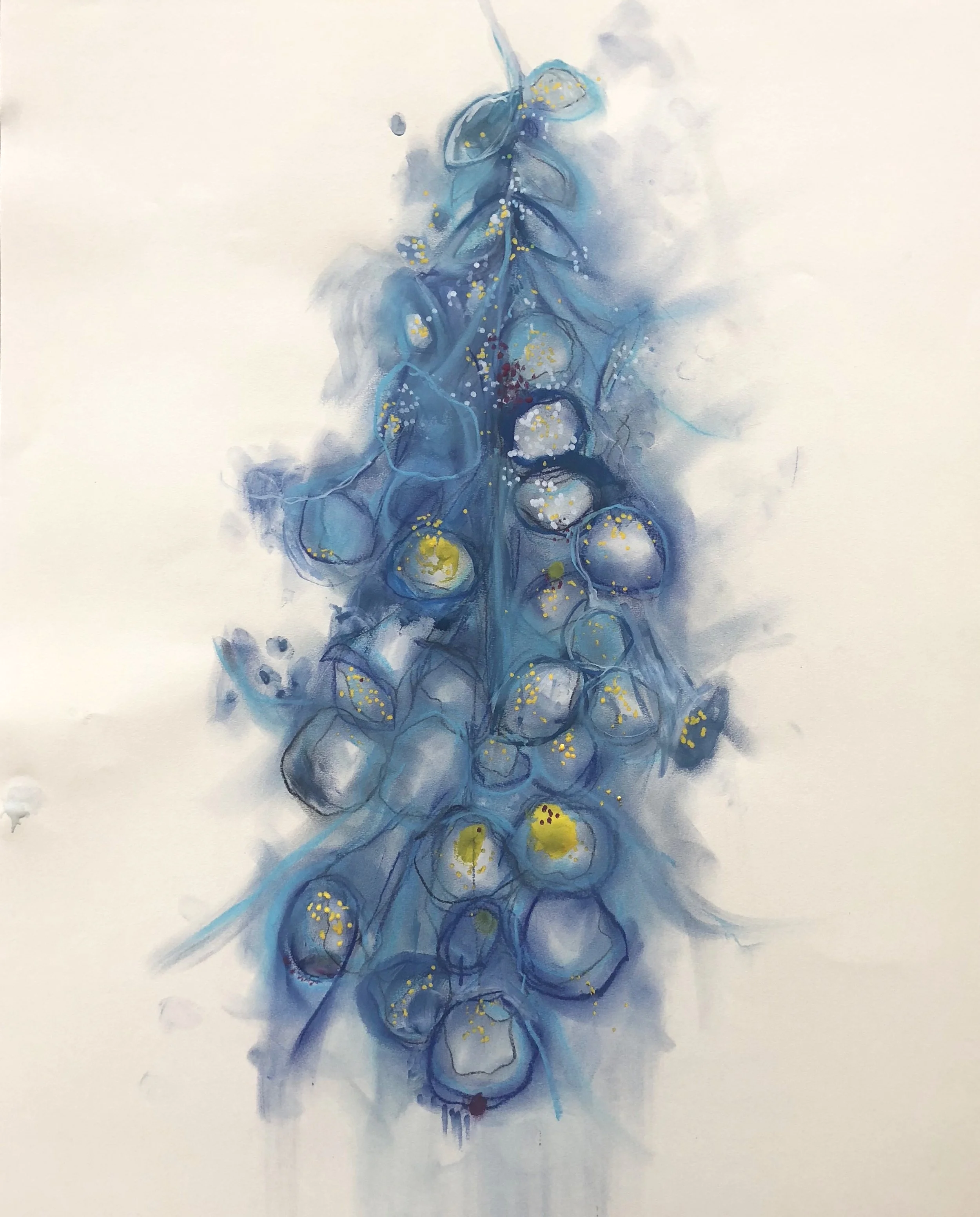 Deep Cosmos Foxglove