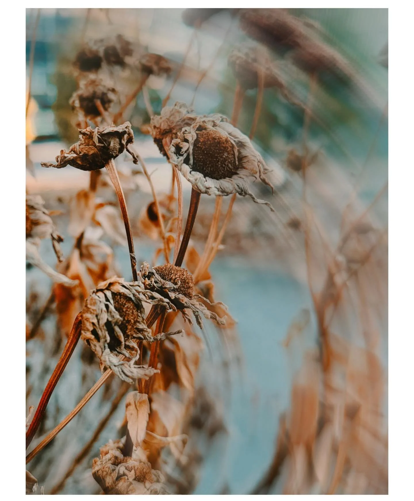 Winter Solstice 2025 #wintersolstice