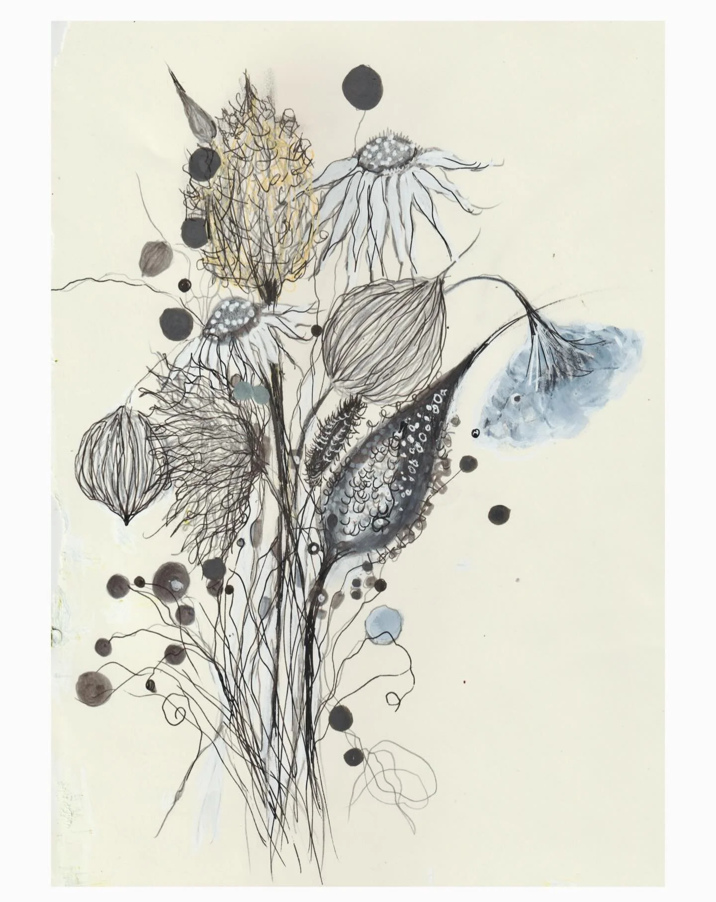 today&rsquo;s drawing meditation 
&ldquo;flowers for words, part 6&rdquo;
mixed media on sketchbook page
8&rdquo;x11&rdquo; ish with some frayed edges, unframed
$50 includes US shipping
dm to purchase
.
#jennybrownart