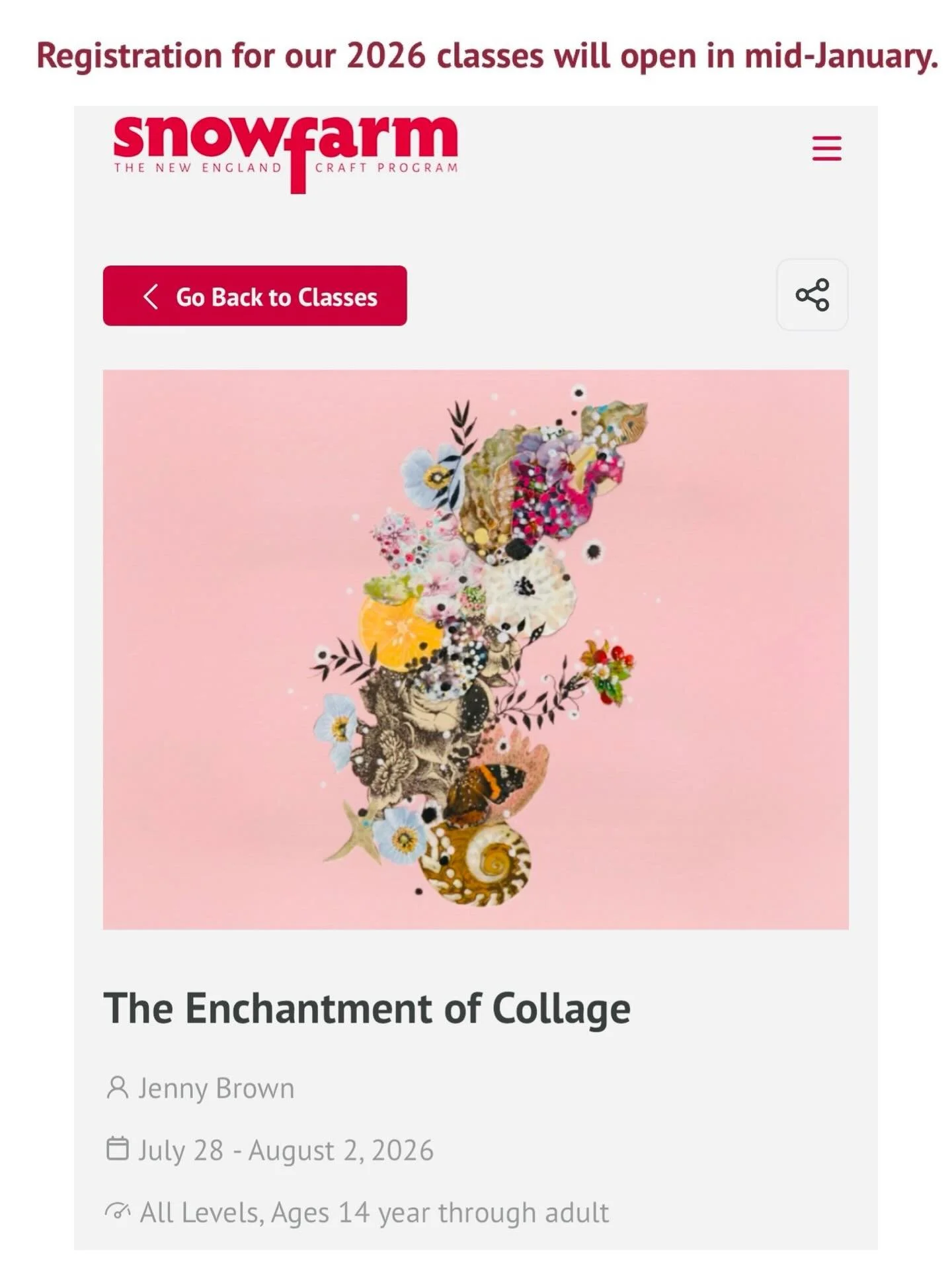 Happening Summer 2026!
I am excited to offer my very first workshop at the Snow Farm Craft Program @snowfarmcraft in beautiful Western Massachusetts! July 28th is the arrival day for this session. Workshop instruction starts on July 29th and ends Aug