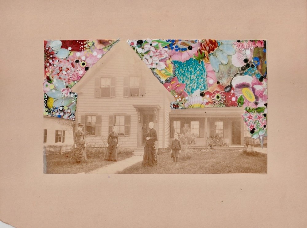 Under the Protection of Flowers, 2026.