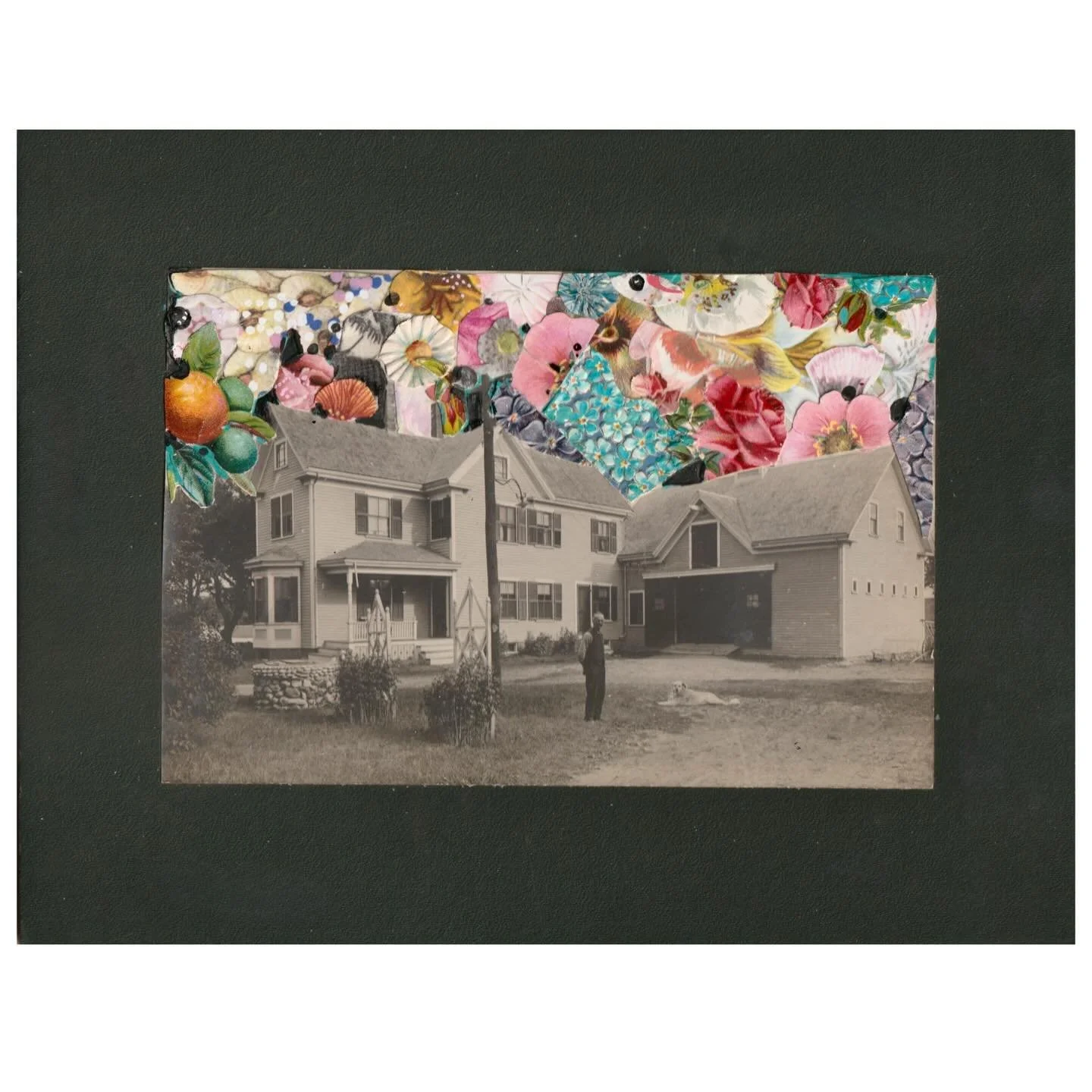 &ldquo;under the protection of flowers, part 2&rdquo;
collage, ink, &amp; acrylic on an antique photo (1908)
approx 8.5&rdquo; x 6.5&rdquo;
#jennybrownart #mixedmediaartist #phototrouveemagazine #princessnokia #matchacherry #collageart #thejealouscur