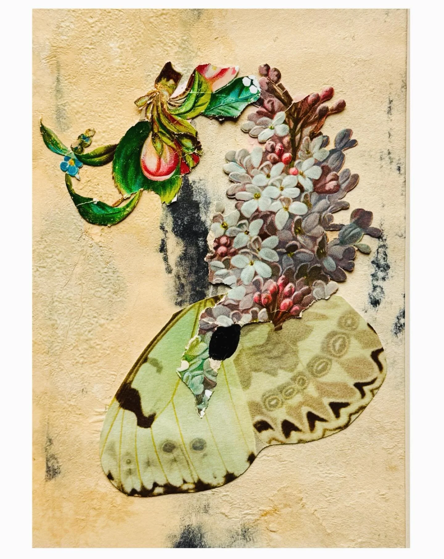 &ldquo;meadow magic&rdquo;
butterfly wings, lilacs, &amp; bluebells
collage &amp; acrylic on monoprint scrap
.
#jennybrownart