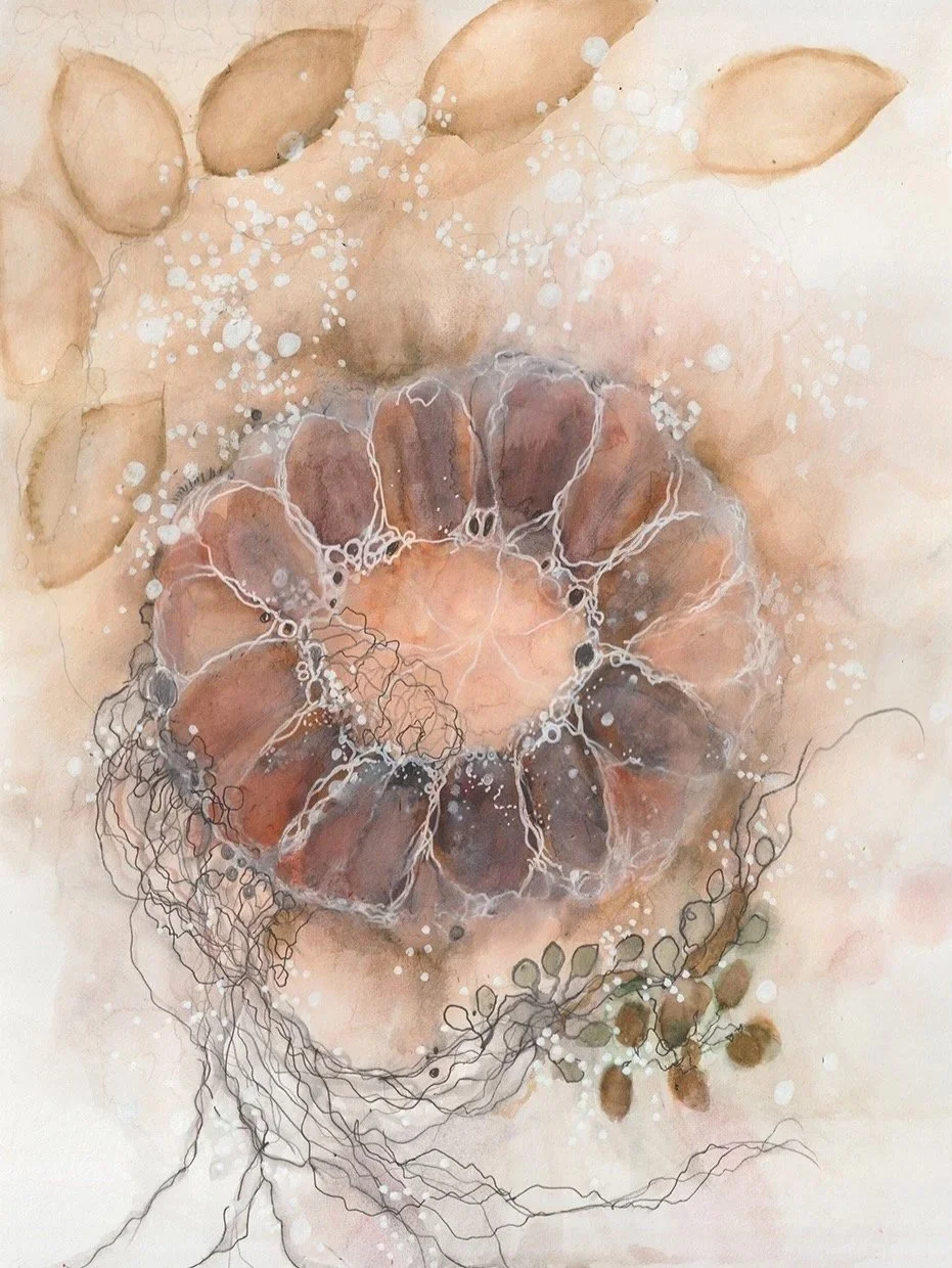 Tide Pool Splendor