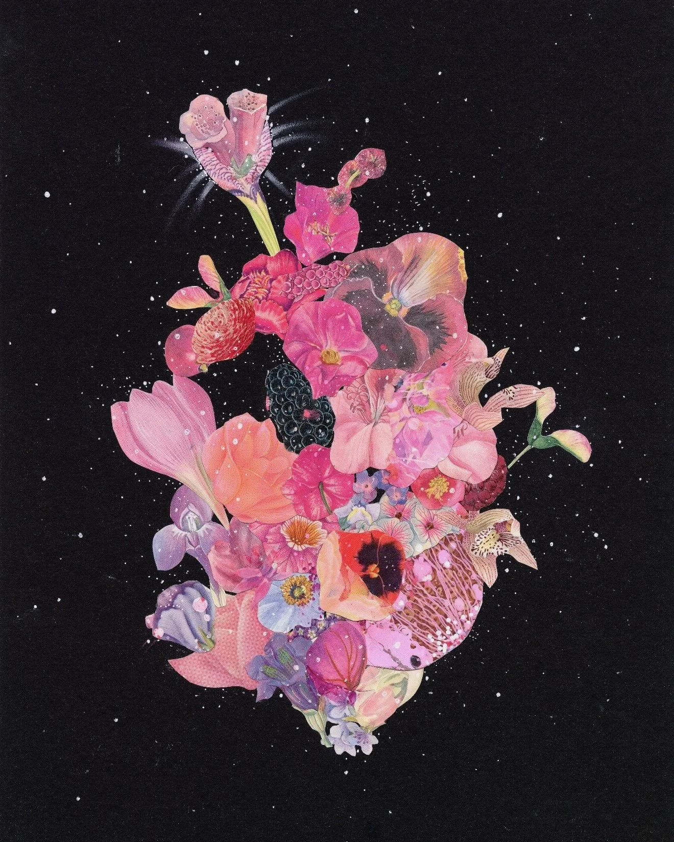 Night Rose, 2019. Mixed media on recycled mat. 11' x 14." Please email jennybrownart@gmail.com with price & purchase inquires